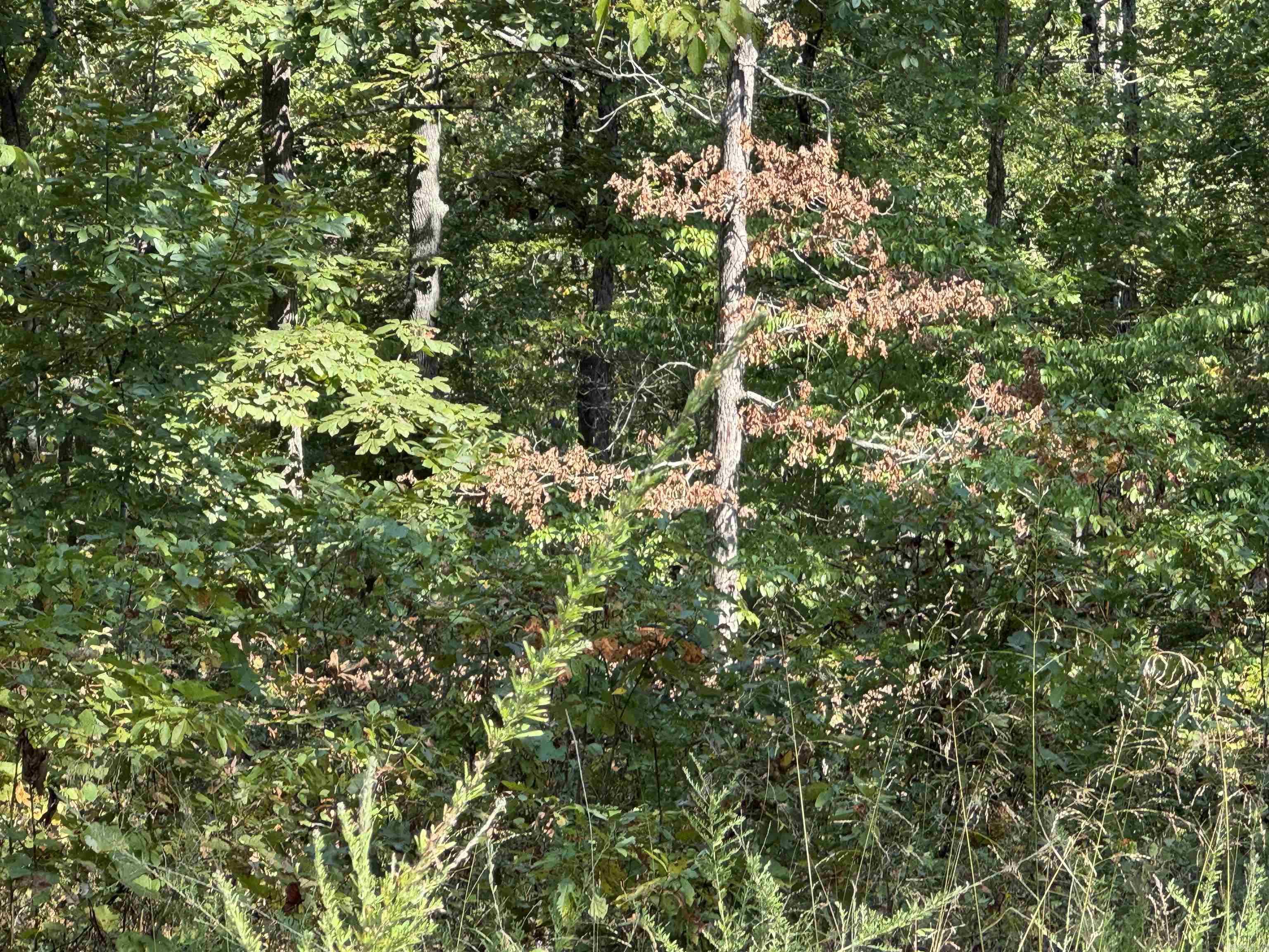 Not in Subdivision - Land