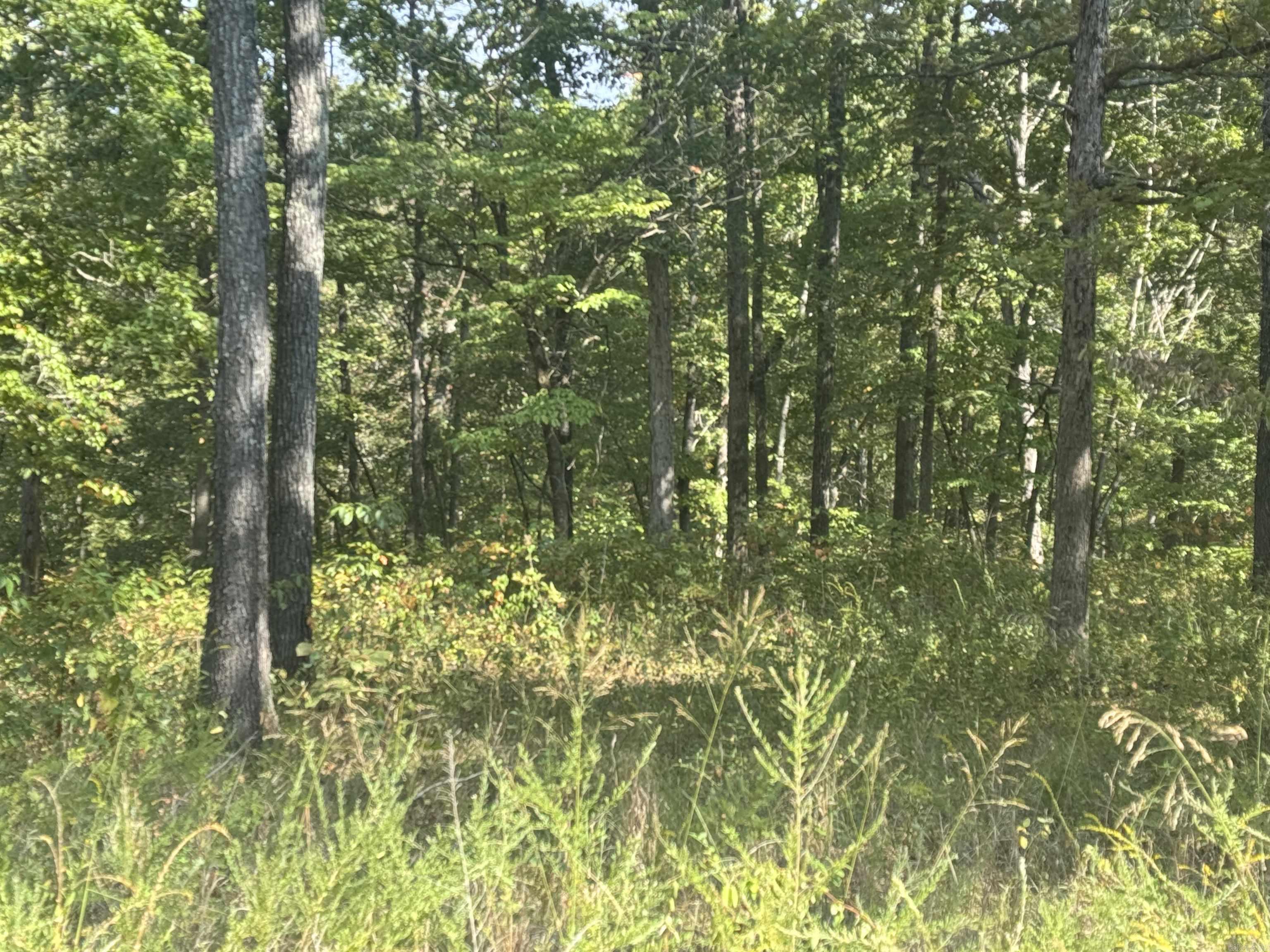 Not in Subdivision - Land