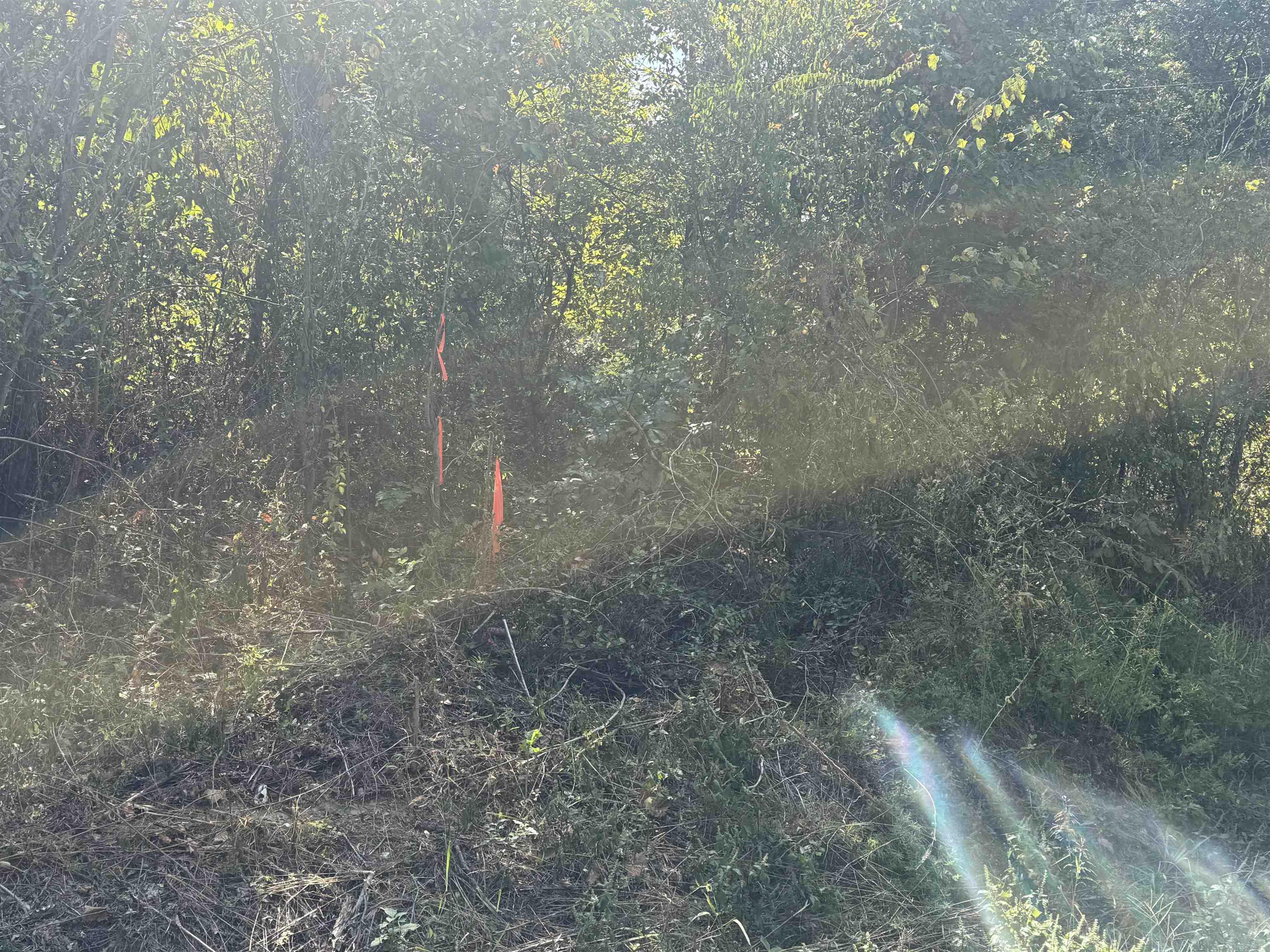 Not in Subdivision - Land