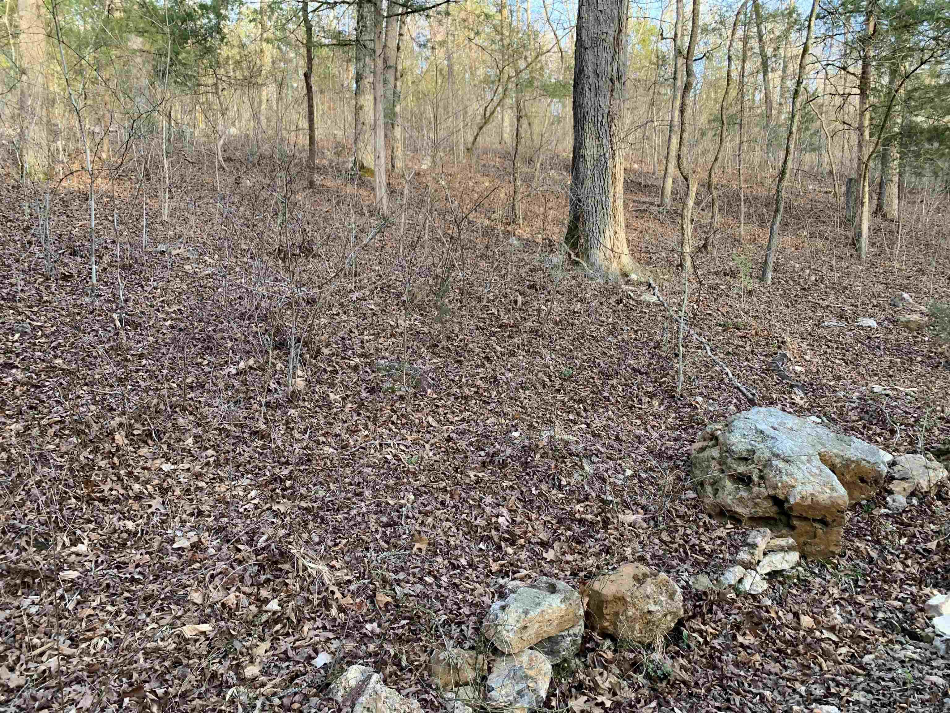 Not in Subdivision - Land