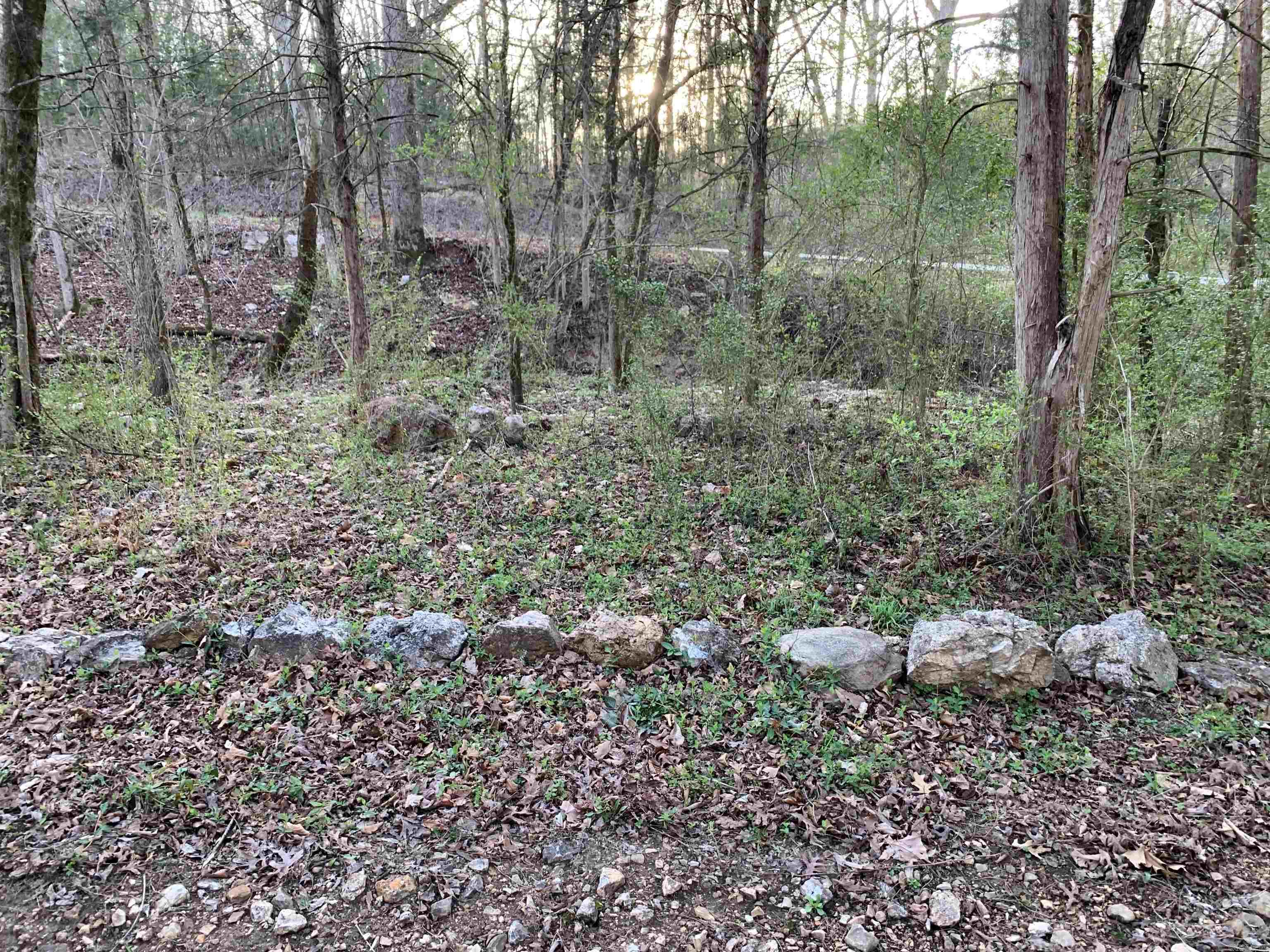 Not in Subdivision - Land