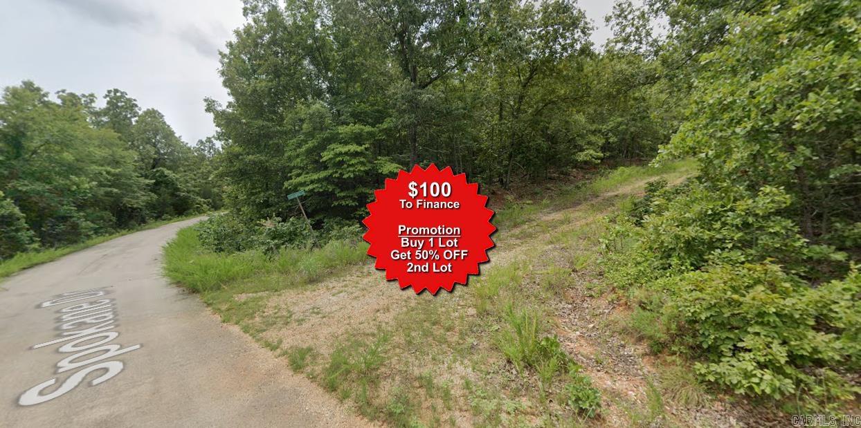Buy one lot and get 50% off an additional lot! Owner-finance for easy terms. Cash buyers can pay by debit or credit card as well. Nice lot to develop or hold for future value. Public water and electric are available to run to property and will need septic. Owner/agent. No mobiles allowed. 1000 minimum build size on any other type of home, depending on subdivision. Finance is $100 down and 10 months at $99 and closing costs are included. Lots marked with red banner are part of promotion. No limit on lots. Buyer responsible for any/all taxes and lots sold "as-is". Quit claim deed conveys. Parcel ID# 350-19638-000