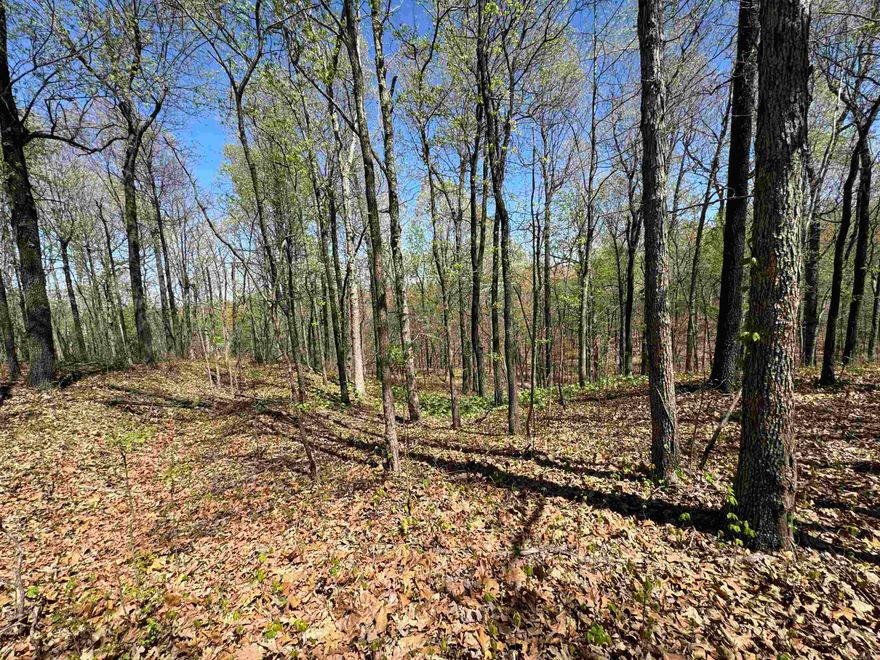 If you are looking for your own little piece of hunting paradise you have found it! This 40 acres hunting property comes with deer stands already in place and ready for you to hunt. There are spots you could even make your own little hunting cabin right on the beautiful Crowley Ridge that is known for big deer. Give us a call today to schedule your own showing of this great property.