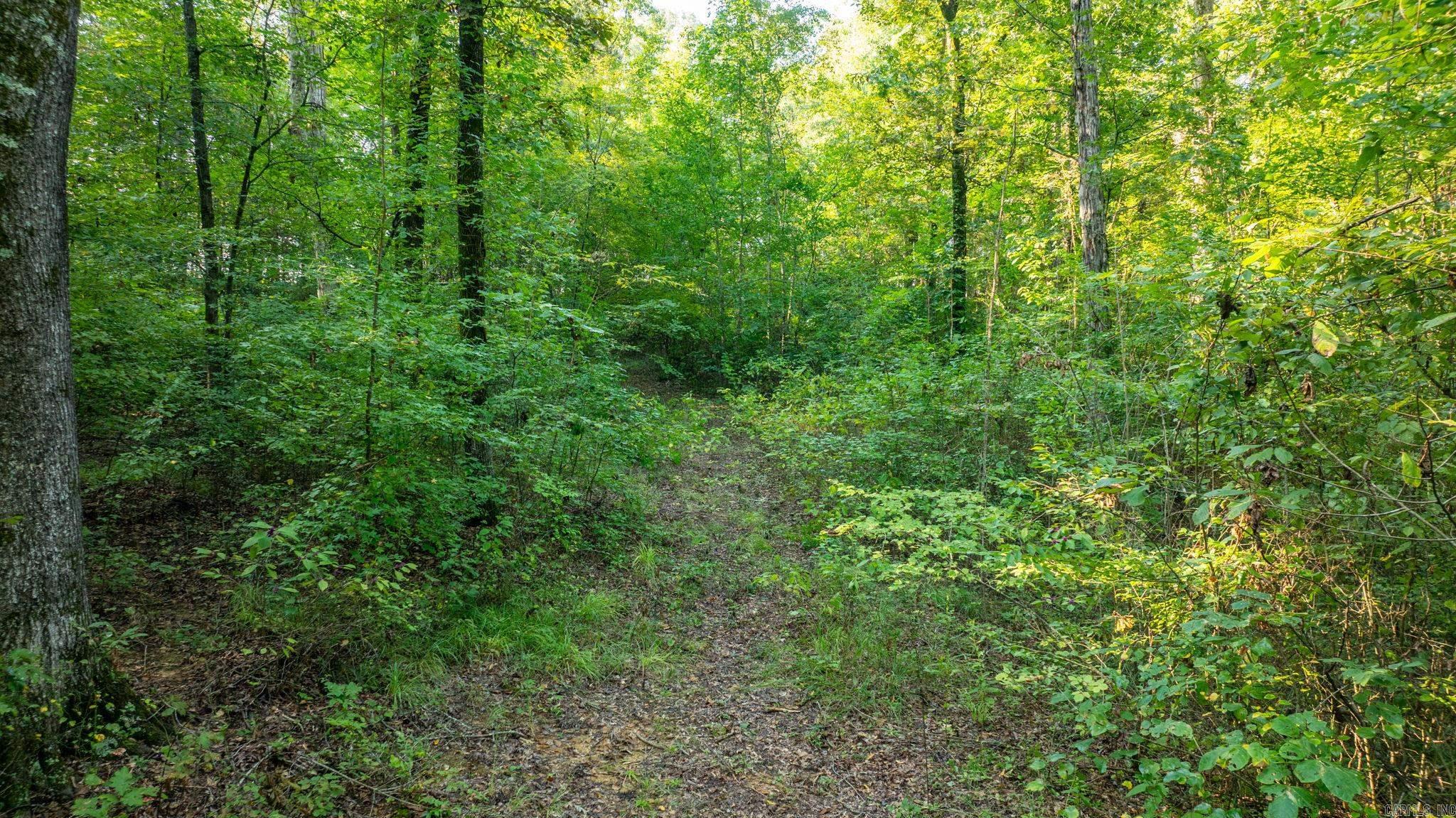 CADRON MEADOWS - Residential