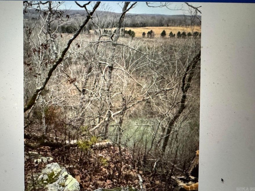 Outstanding views and nice building sites on this Strawberry River front land. This 5 acres has Dogwoods scattered throughout to provide an even more peaceful setting for your new home. NAEC electric and NEXT internet available at the road along with Evening Shade water.