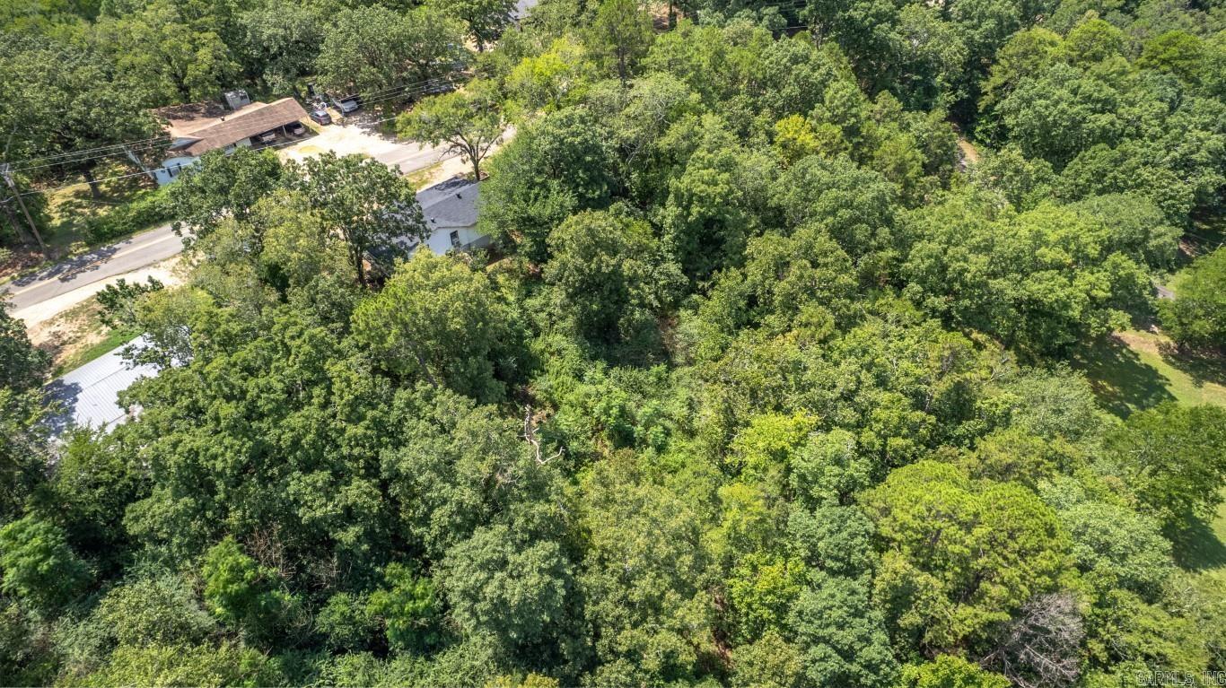 Hot Springs Unplatted - Residential