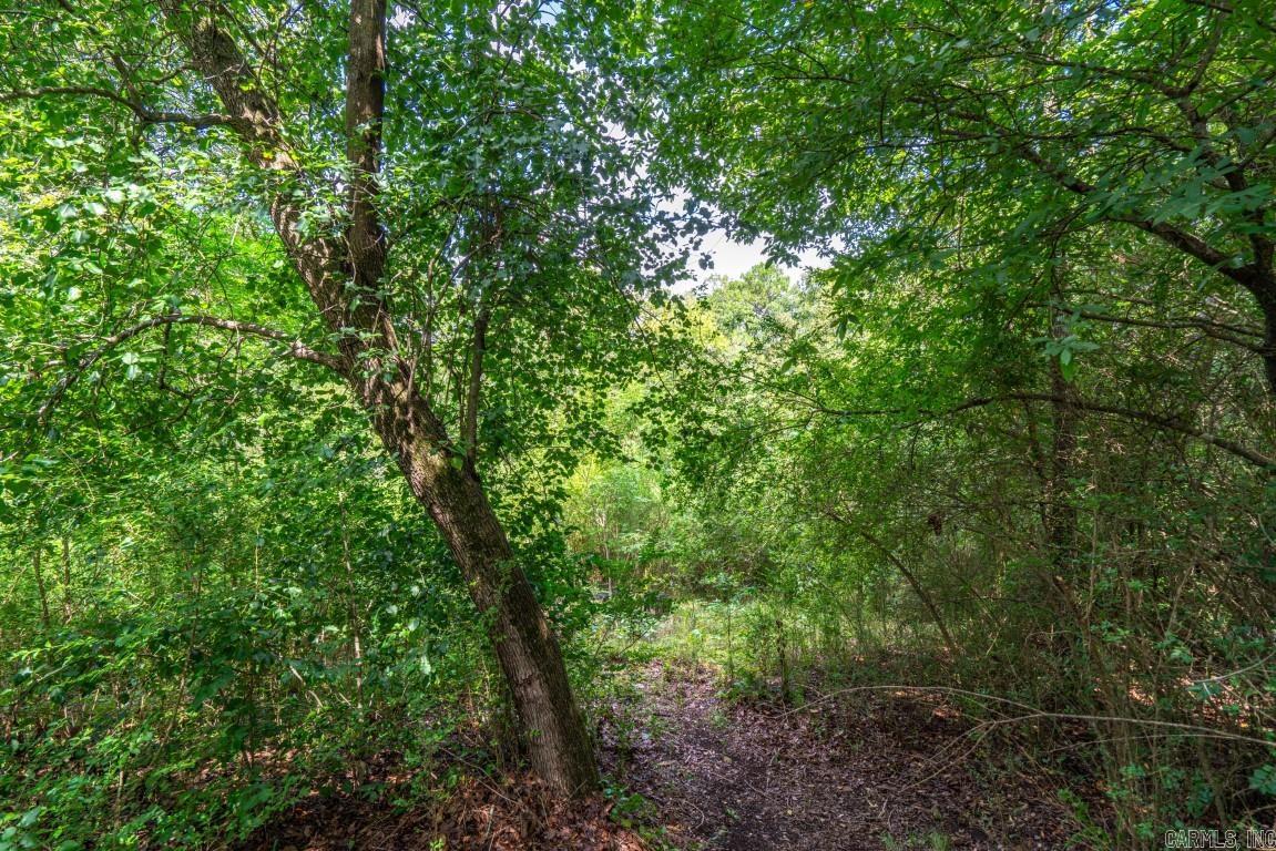 Hot Springs Unplatted - Residential