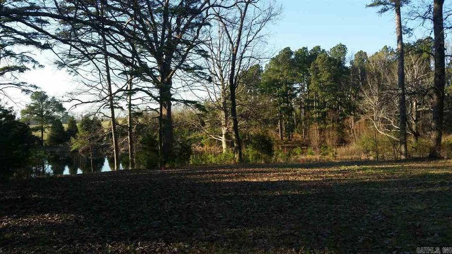Beautiful lot with pond and barn