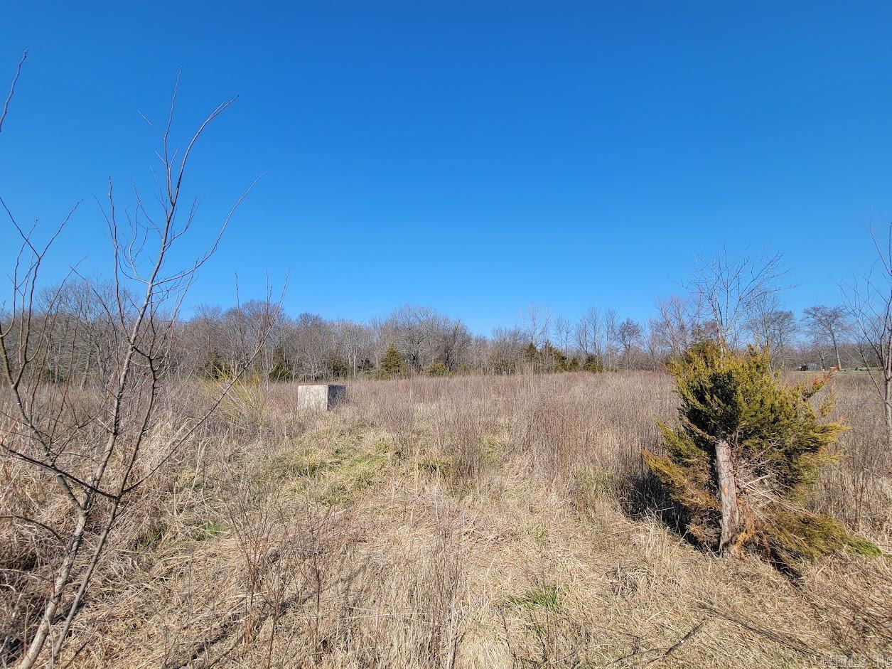 Plainview - Land