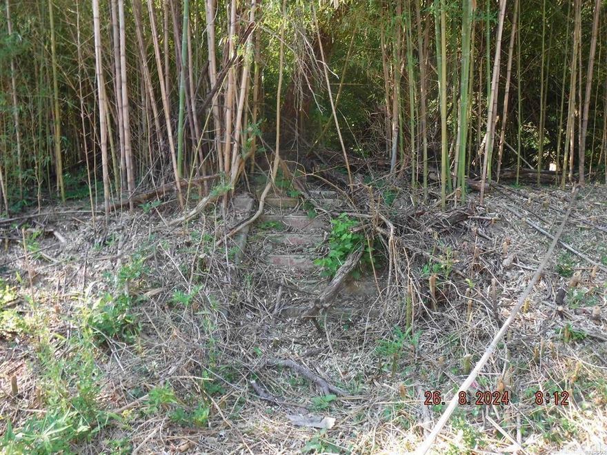 Old homesite in the heart of downtown Hot Springs. Just mins to bathhouse row and the Pullman trail head.   There are old stairs at the street. Possible old homesite on the lot.