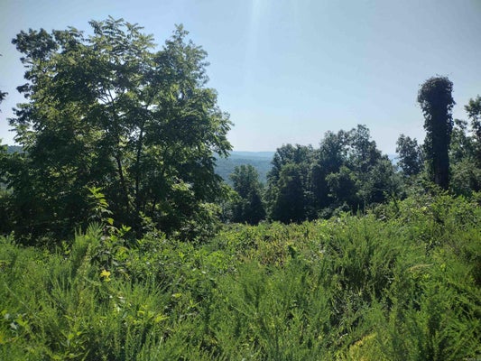 SUTTERFIELD RD, FOX, AR 72051 - Image bfaa9060e10011d201c8559a6b31dca5/3525368444