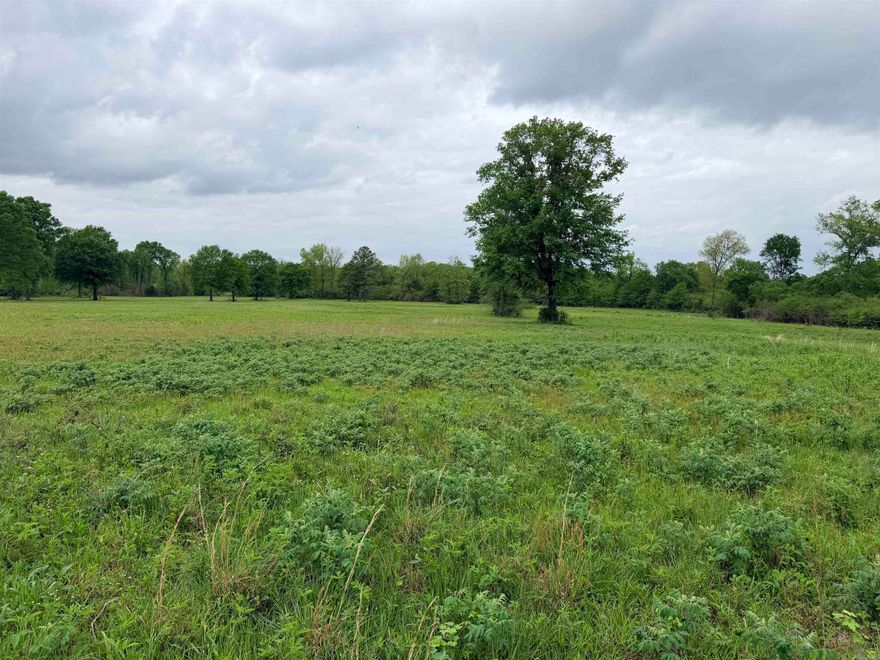 Check out this beautiful 4 acres in Sherwood with views most dream of.  Open pasture ground that would make a beautiful place to call home! Outside the city limits with water and electric at the road makes the building process that much easier.  Property is mostly flat and slopes towards the rear, where a creek borders the backside, with lots of wildlife to enjoy...  Bring the farm animals, if you choose, and your house plans to build that perfect place to call home!