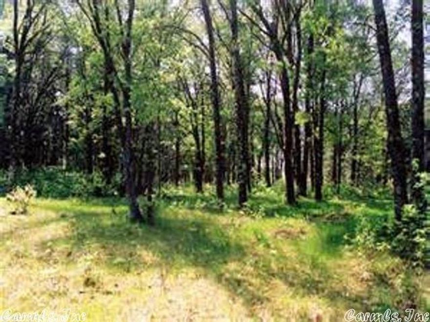 Unbelievable opportunity to develop 3.00 acres in the south western part of City growing with the community. Within walking distance to schools, highways systems, hospitals, and outlet shopping.  Currently Zoned Residential a salvaged home is still on property however has zero value. Sellers had new survey completed 07/23 and property is 3 acres. Last buyer backed out because of  time it has taken sellers attorney to complete quiet title action.  Still pending notices have been made.