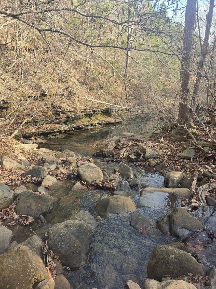 Right in the HEART of Arkansas Mountains Natural setting this breath taking land has a creek on it waterfalls as well as caves . There is a flat area there for a building site with NO RESTRICTIONS this is an awesome property just to go to get away from everything and everyone . There are plenty of deer if you just want to put a small cabin out here and use it for hunting . Approximately 10 minutes from Clinton . Electric is available at the road however if you chose to build you would need septic and a well .