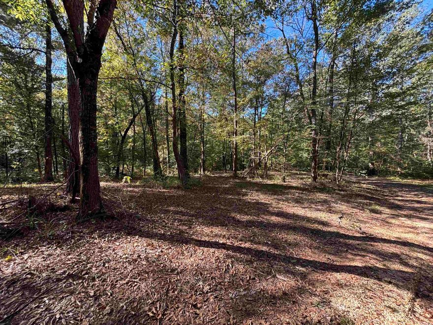 Check out this awesome tract of oak timber setting on Camp Creek bottoms in Sheridan Arkansas. 4 acres are cleared property with 10 acres perfect for building your dream home. If you're searching for privacy and hunting land, this is your spot!!