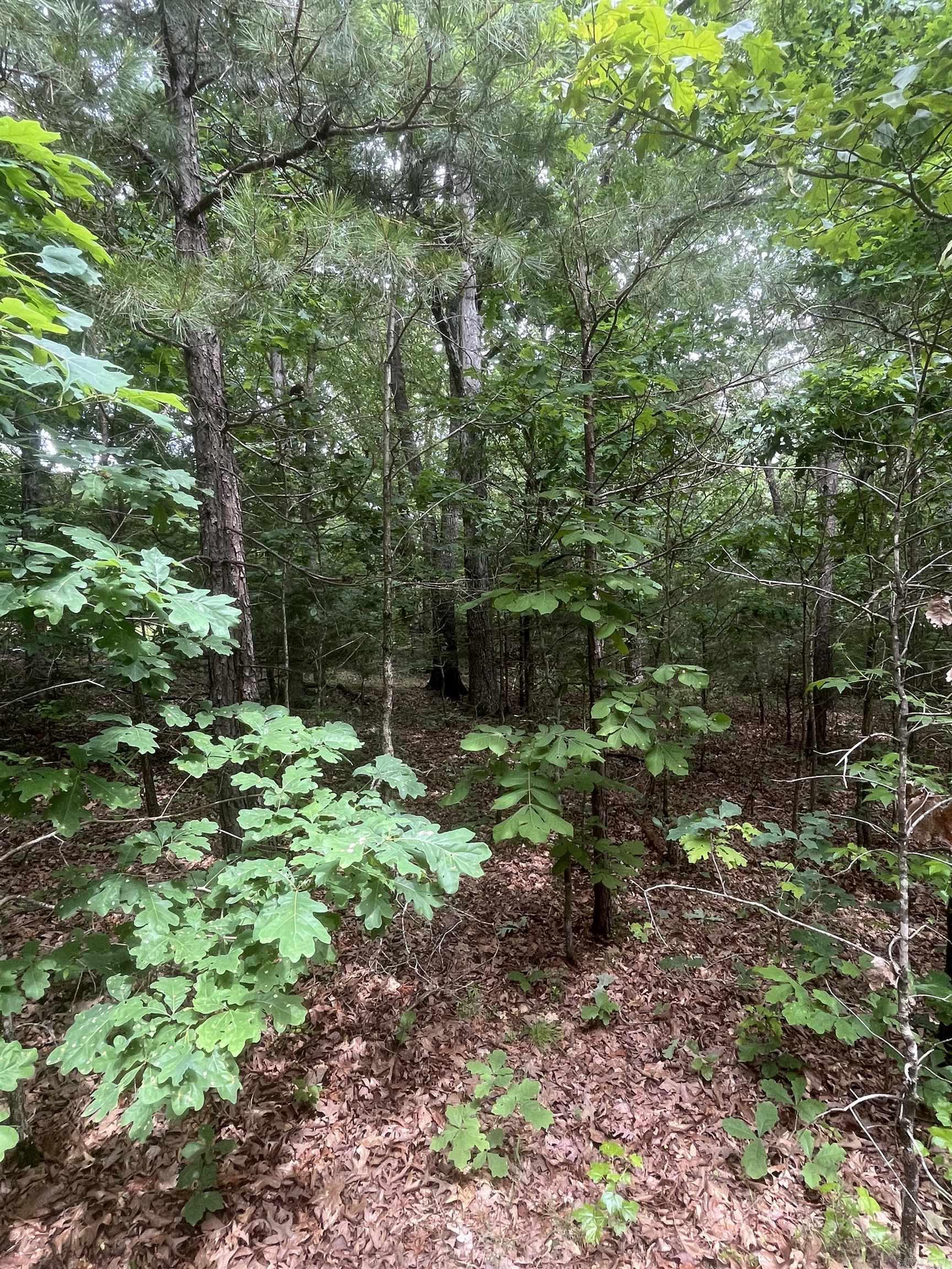 Not in Subdivision - Land