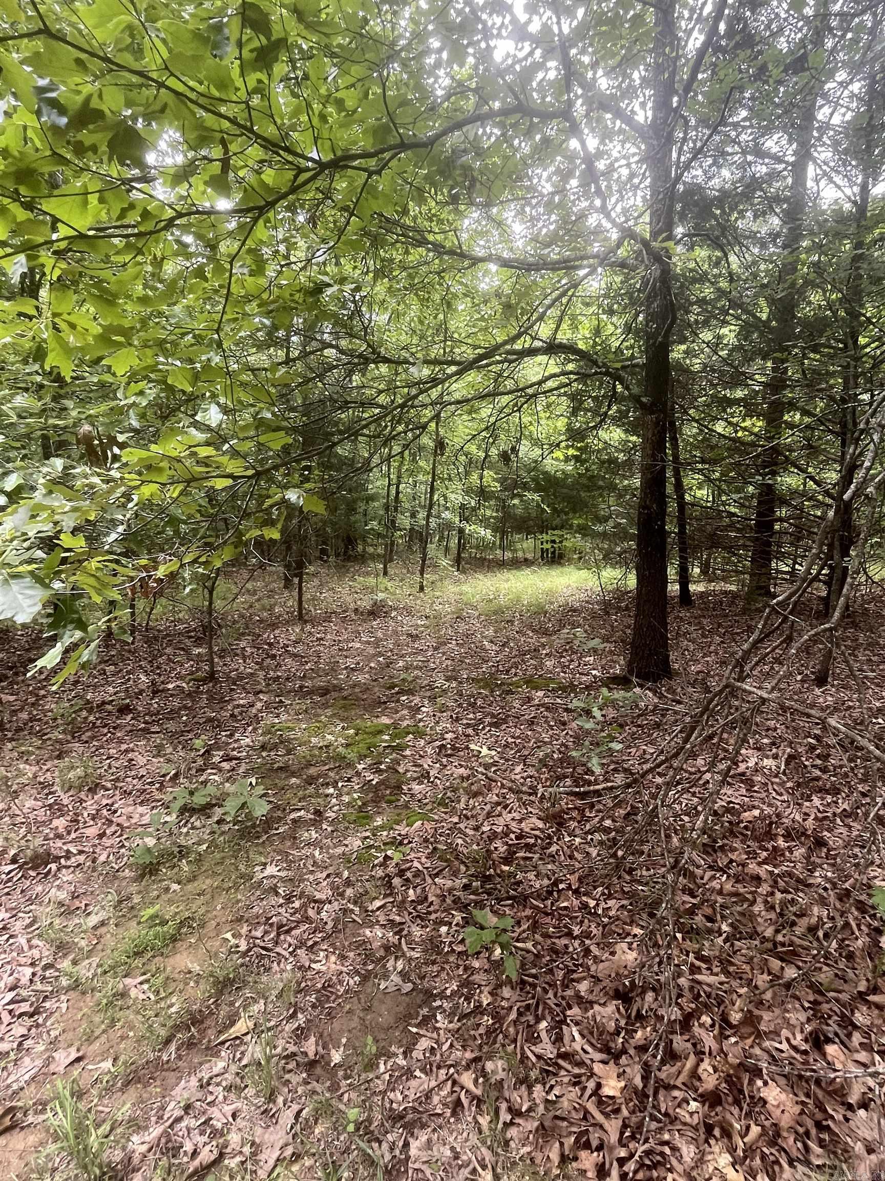 Not in Subdivision - Land