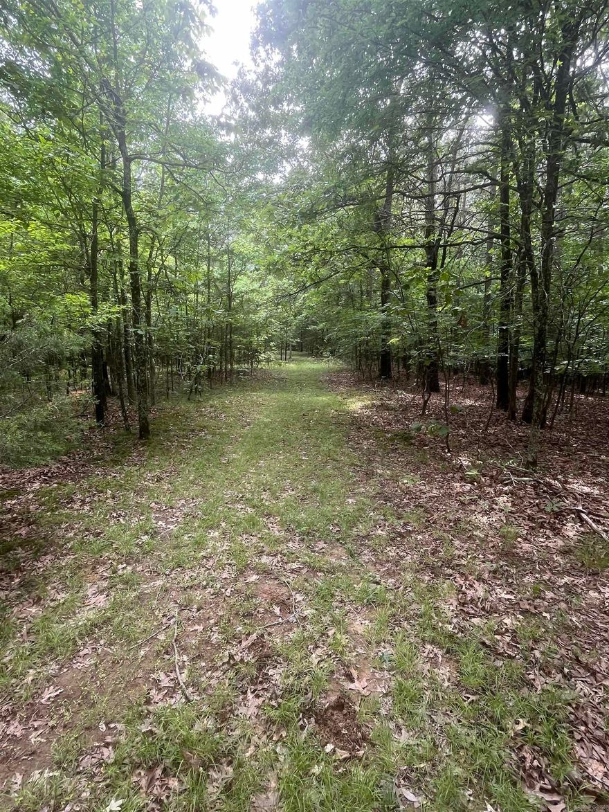Escape to your own private wilderness with this 83-acre +/- wooded paradise in Lafe, Arkansas! Perfect for hunters, outdoor enthusiasts, or those seeking a secluded getaway, this property offers abundant wildlife, mature timber, and an old cabin ready for your personal touch.