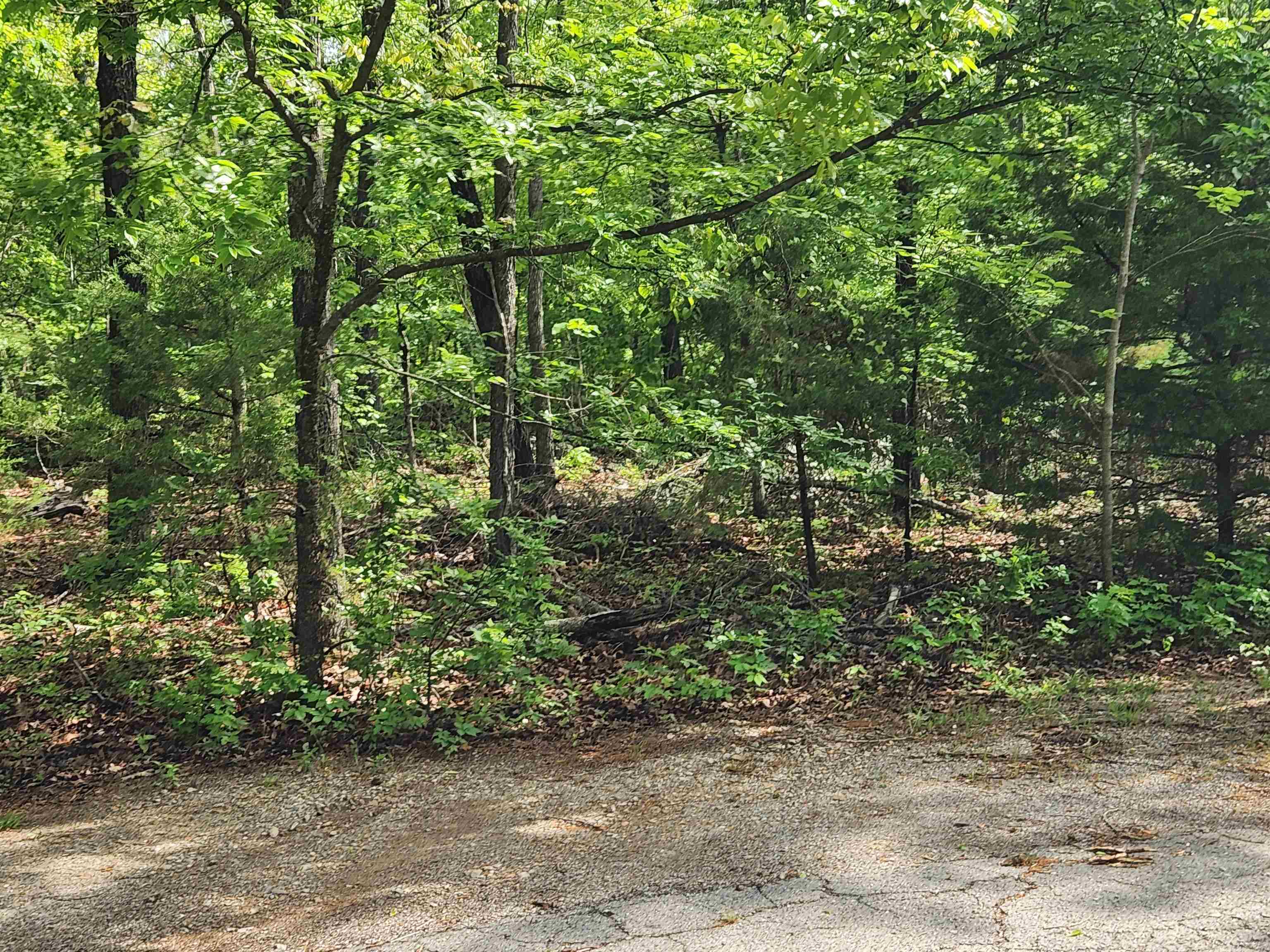 Wonderful and wooded lot in the heart of Cherokee Village. Semi-secluded and away from it all. But close to a main road for quick exits from the Village for shopping, dining and entertainment. Buy this lot and pick your spot to build your dream home or just a getaway cabin. With ownership of this lot you will have access to all the amenities of Cherokee Village such as the 7 lakes and Two 18-hole golf courses also the Thunderbird Center and swimming pool, mini golf, parks, hiking trails and don't forget about the beautiful Southfork River for fishing, kayaking or just floating down to wet your toes. This is a wonderful lot to purchase and plan for your future home. Call to purchase this one today.