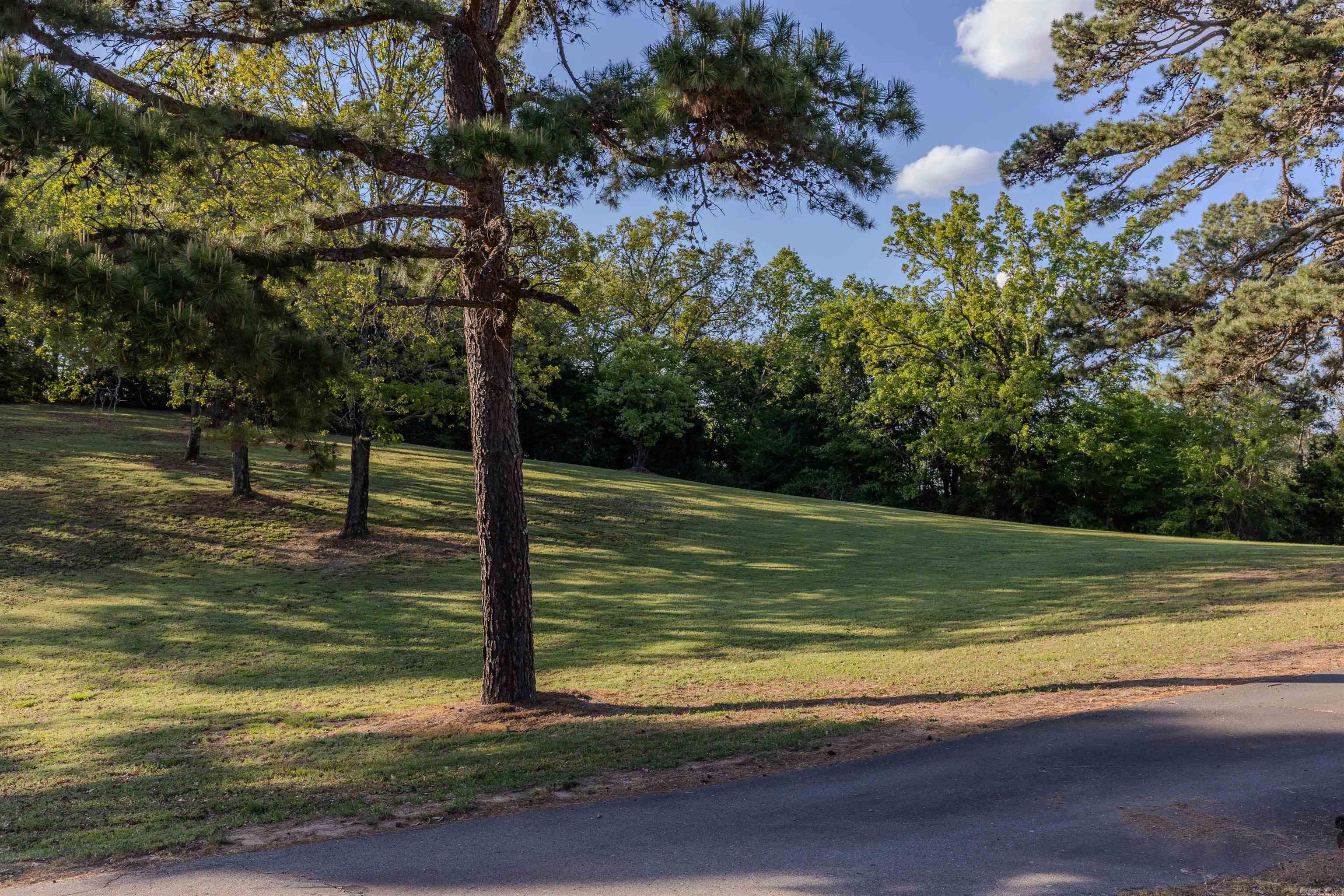 BIGELOW CITY ACREAGE - Residential