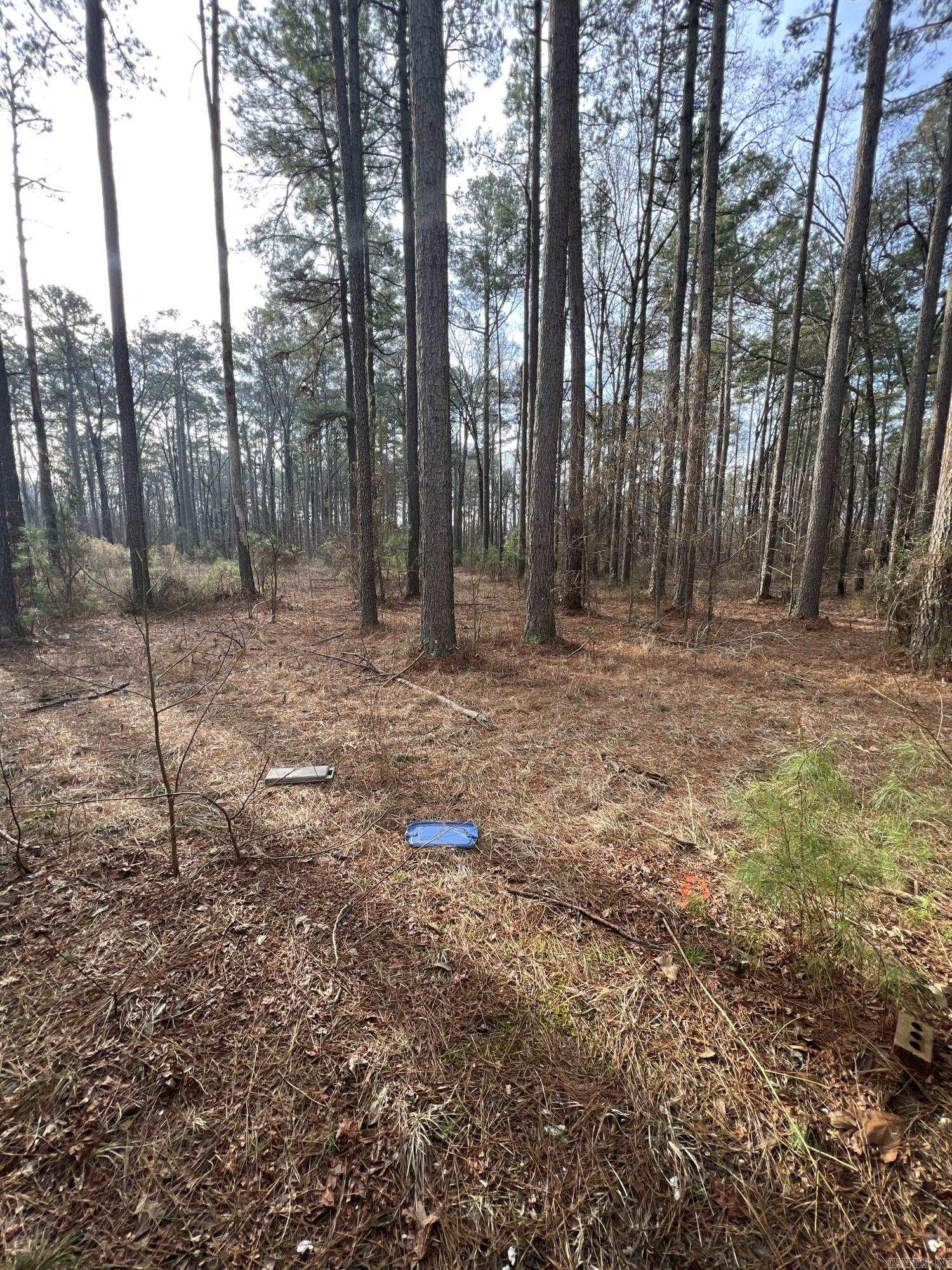 Metes & Bounds - Land