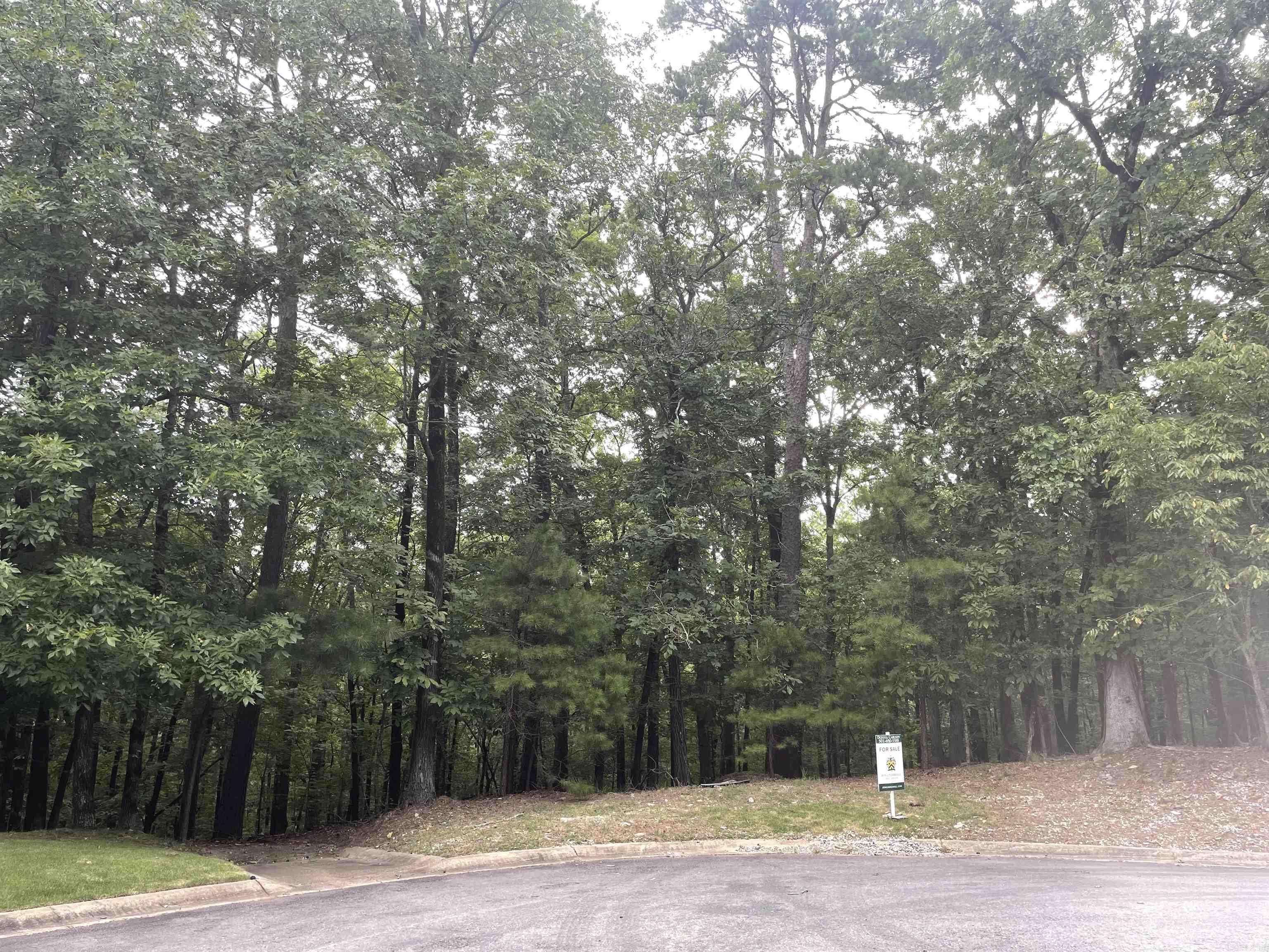 Build your dream home in this gated Chenal Downs neighborhood, close to the Promenade, Chenal Country Club, Wildwood Park and Dining venues. There are beautiful homes located on mostly 5 acre plots. Minimum square footage for a one level home is 3000, 4000 for a multi-story home. Go to Chenal.com for additional development and building info. Architectural plans for a 5.000 sq. ft. home are available with purchase of lot.
