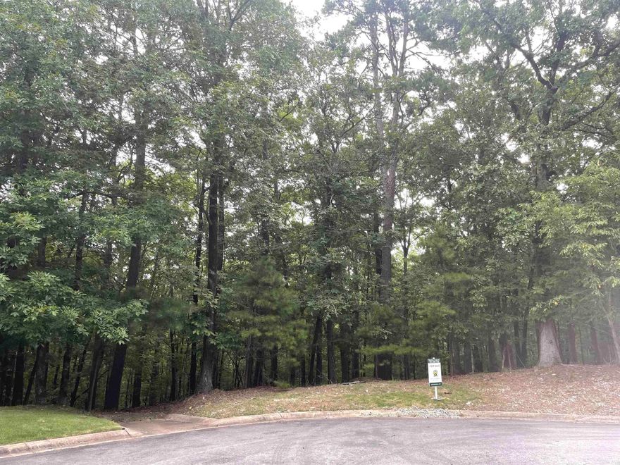 Build your dream home in this gated Chenal Downs neighborhood, close to the Promenade, Chenal Country Club, Wildwood Park and Dining venues. There are beautiful homes located on mostly 5 acre plots. Minimum square footage for a one level home is 3000, 4000 for a multi-story home. Go to Chenal.com for additional development and building info. Architectural plans for a 5.000 sq. ft. home are available with purchase of lot.