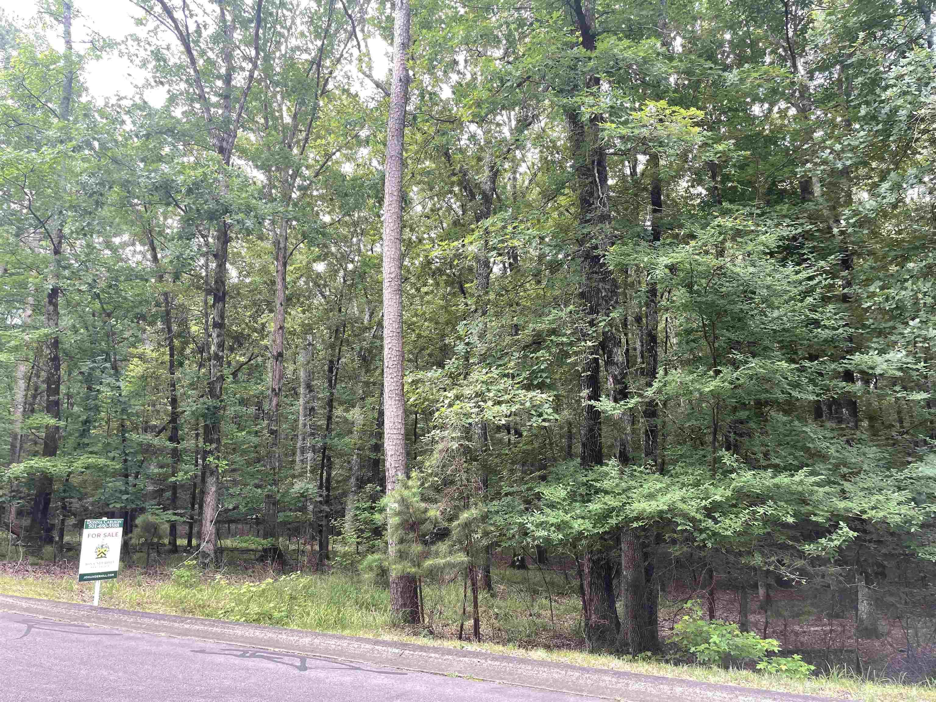 Chenal Downs - Land