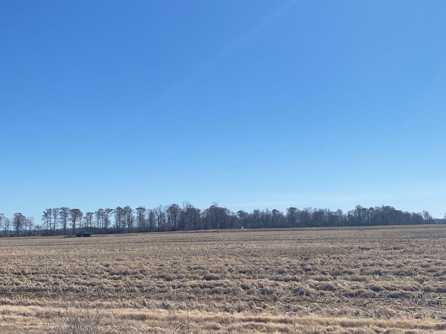 This is an excellent precision leveled farm with five irrigation wells and an underground pipeline system in place.  This is a great investment  property that also has wonderful waterfowl hunting opportunities.