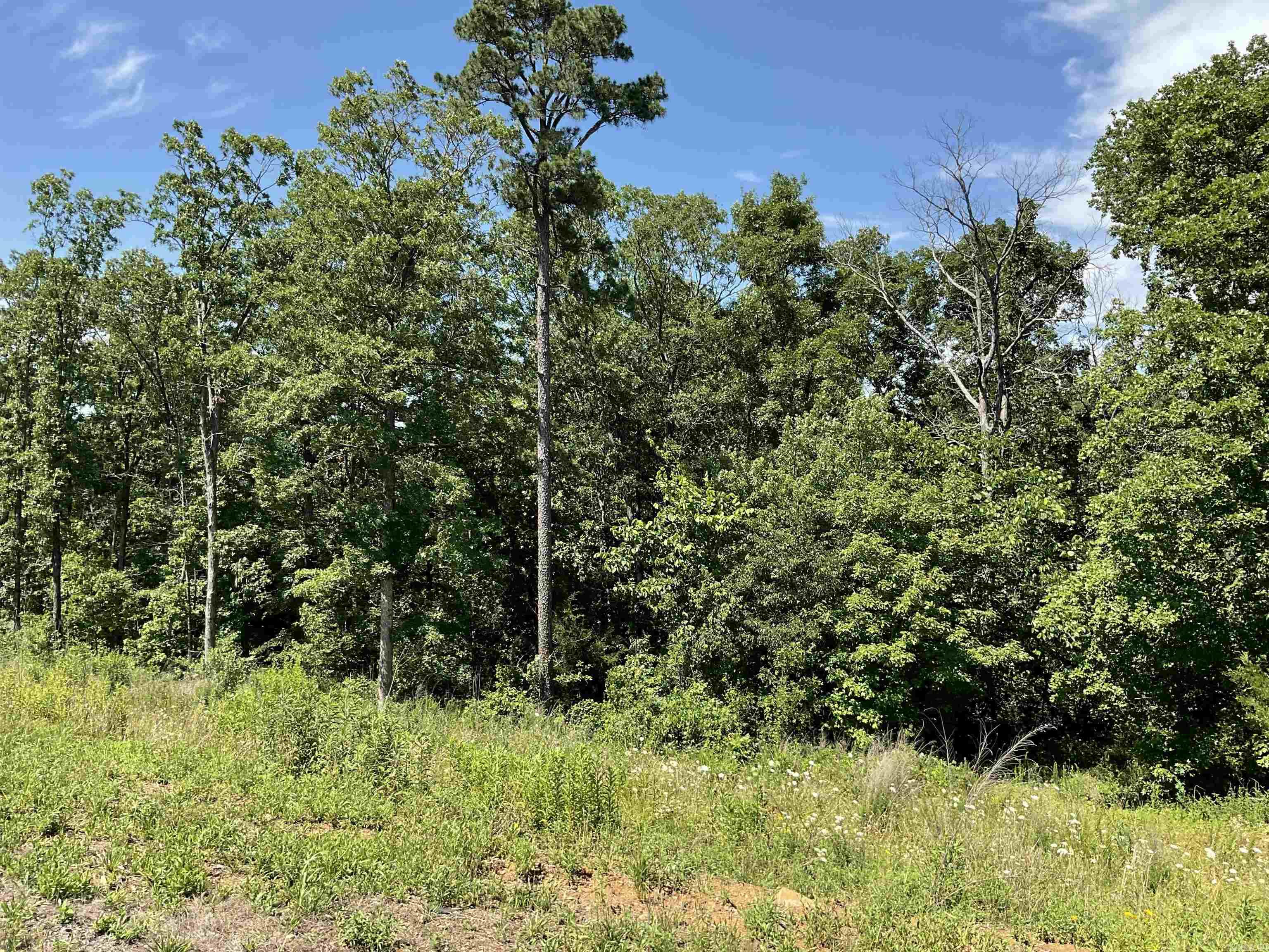 Mineral Rights Negotiable .