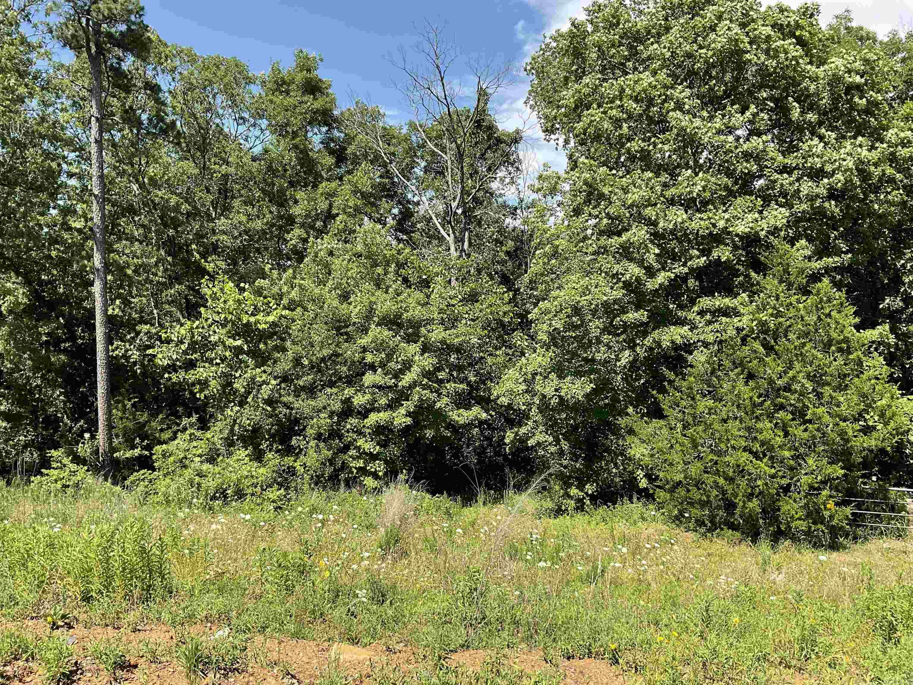 Not in Subdivision - Land