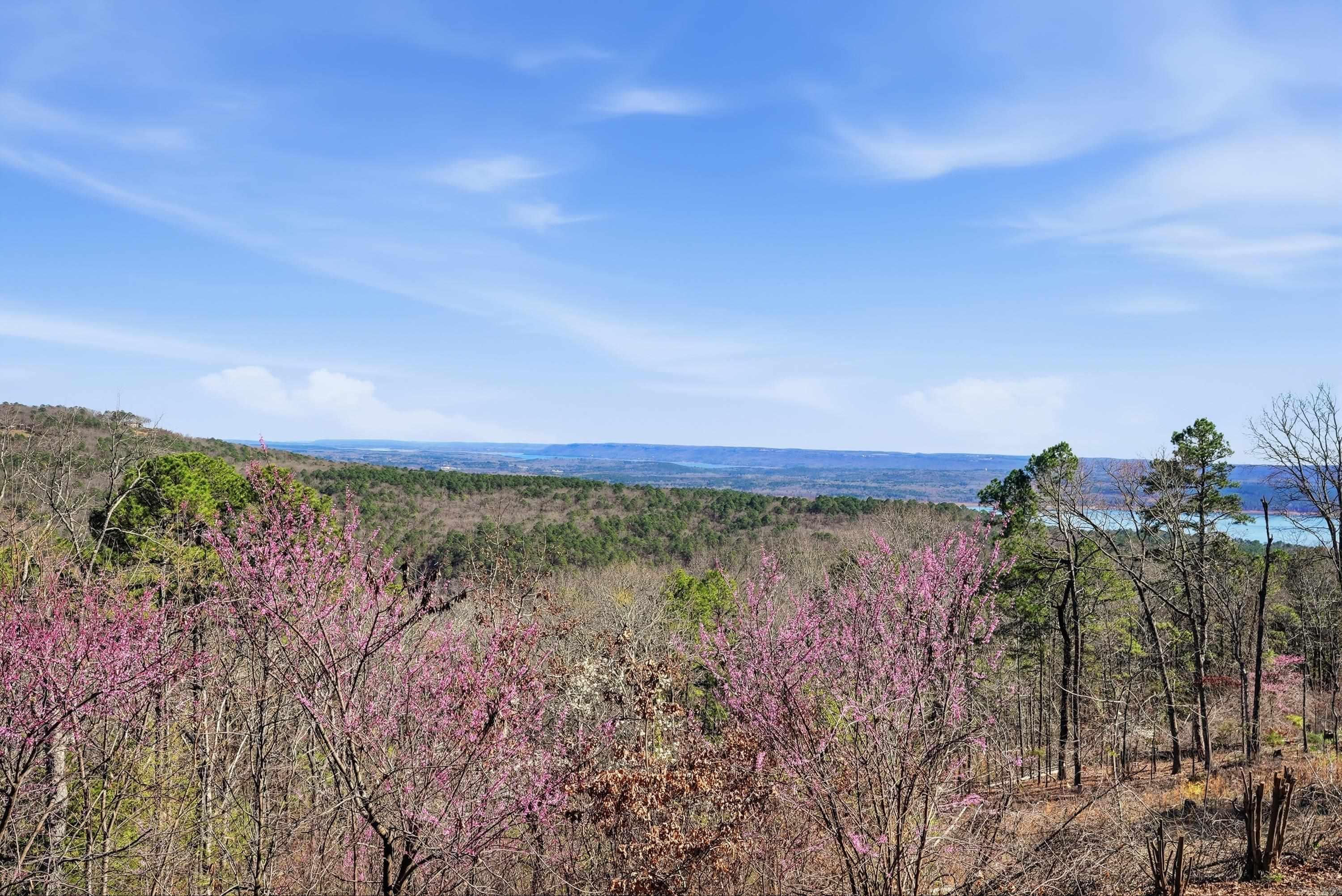 CLIFFSIDE LODGE - Residential