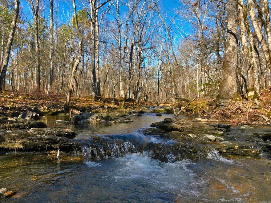 WOULD MAKE GREAT MINI-FARM!  10 BEAUTIFUL ACRES WITH NICE POND, CREEK, AND OLD HOMESITE IN JESSIEVILLE! PRIVACY- PASTURE-WOODS-CREEK-GOOD HUNTING-GREAT NEIGHBORHOOD-THIS ONE HAS IT ALL! RARE OPPORTUNITY!  NO RESTRICTIONS!