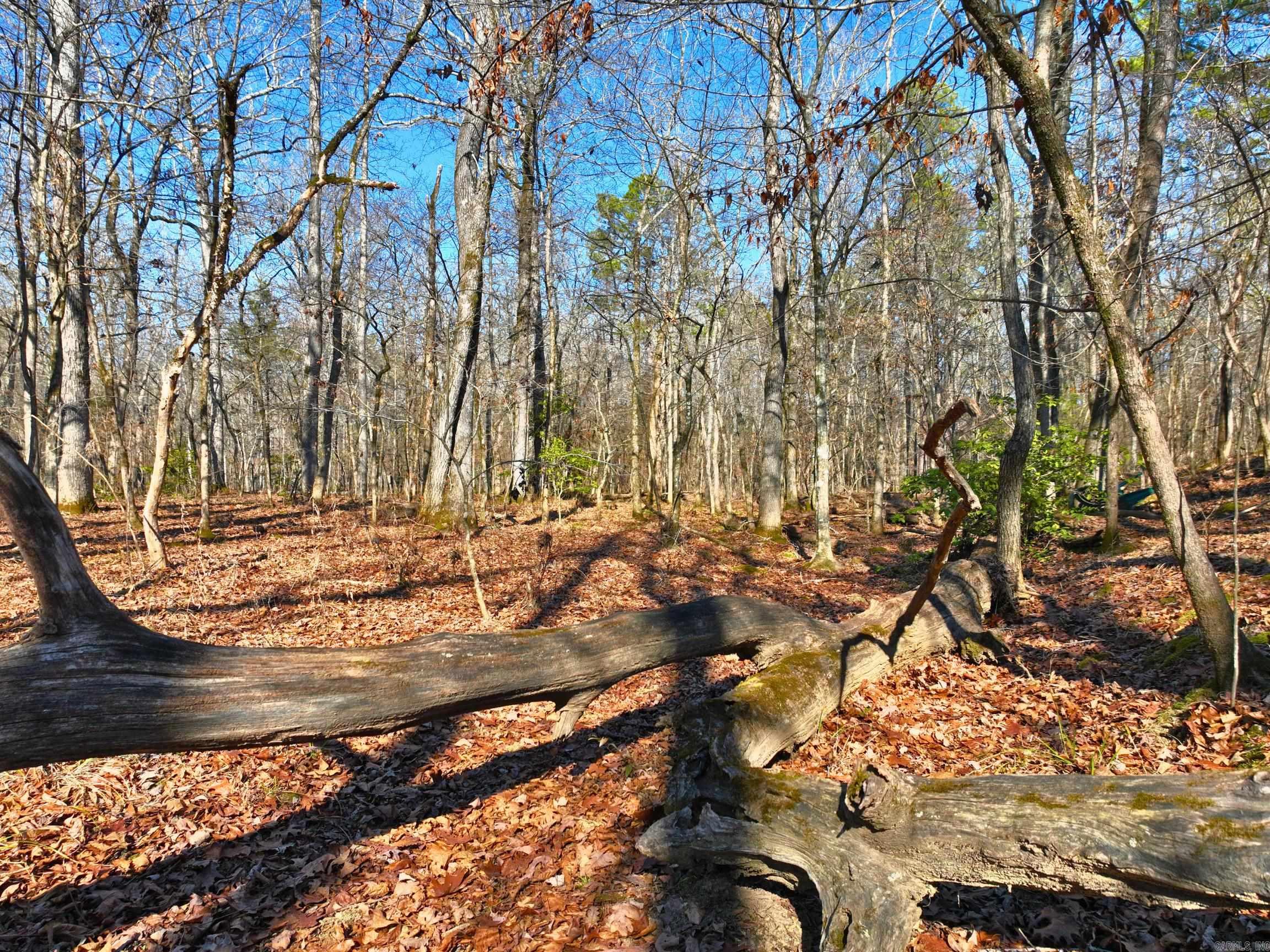 Metes & Bounds - Land