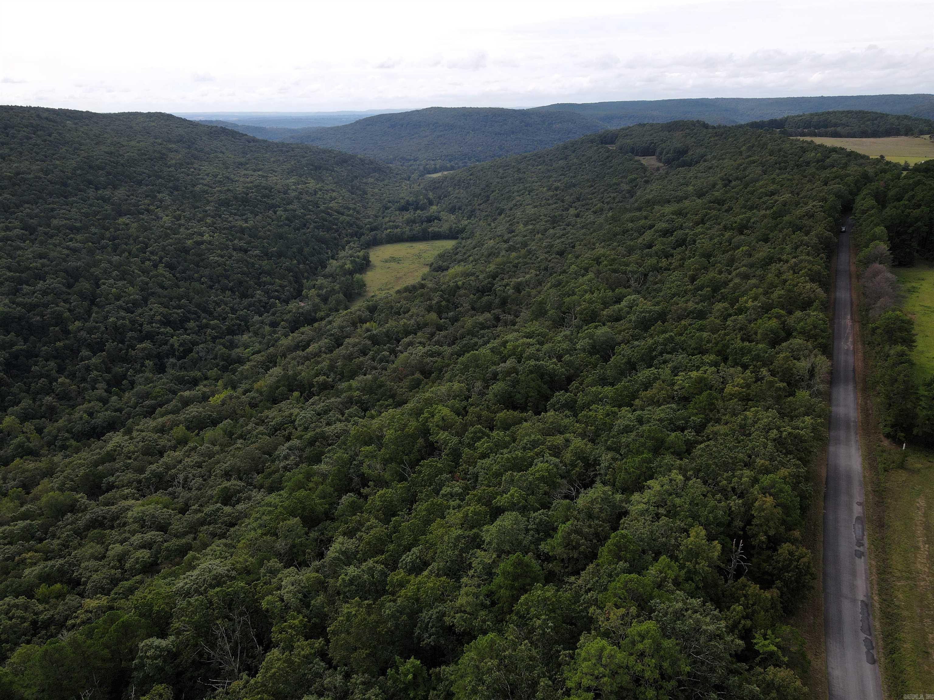 - 42 +/- acres of timber - Paved road frontage - Mature hardwood mix - Heavy mast producing trees - Clearing for cabin/home - Great topography - Small spring - Beautiful rock formations - Incredible hunting for deer, turkeys, bears & hogs - 18 miles to Clinton - 35 miles to Morrilton
