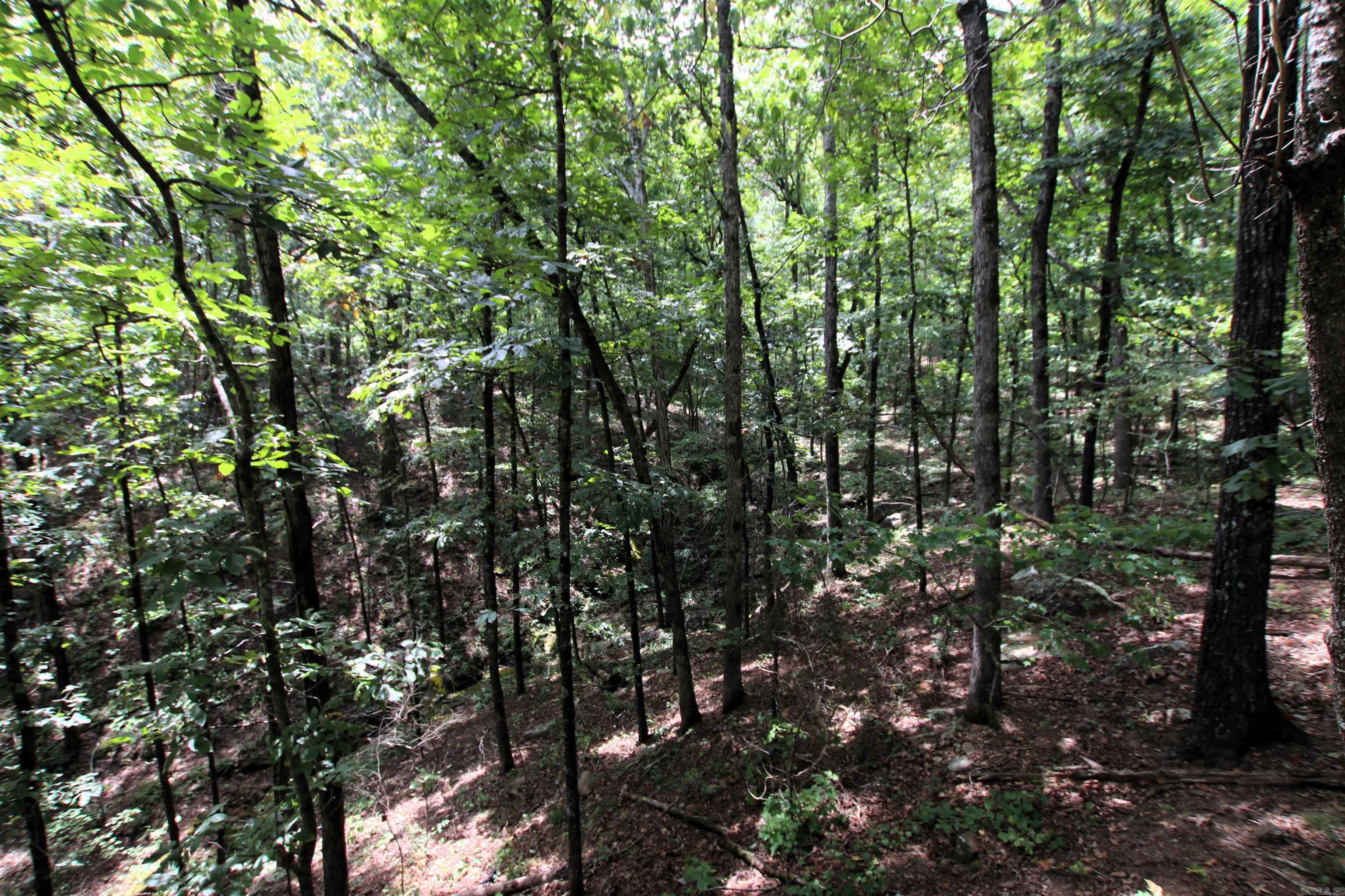Not in Subdivision - Land