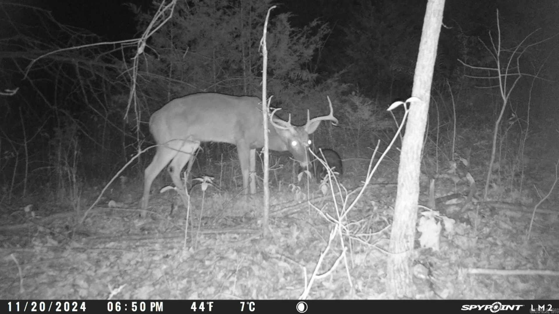 Metes & Bounds - Land