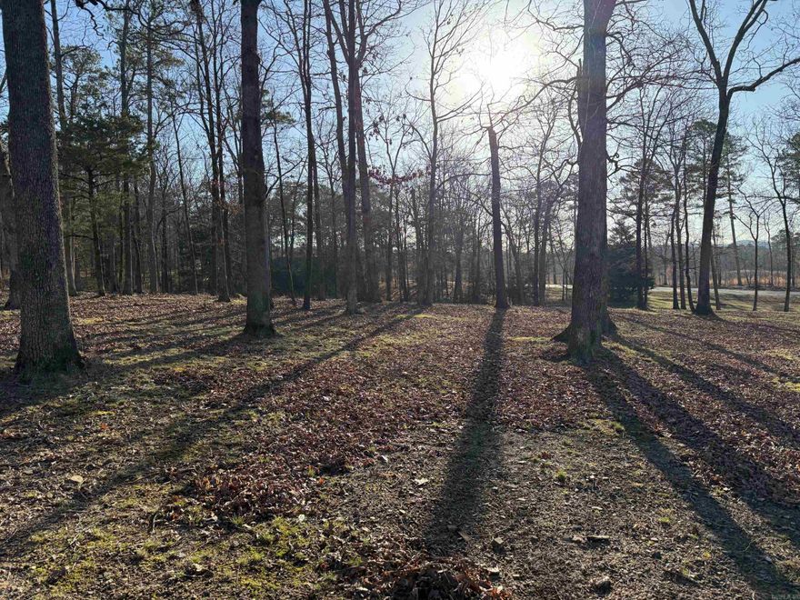 Very Nice 3.31 acres along Hwy 71 with a shared pond and a view of BoarTusk Mountain to the south!  Rural water and Electric is available.  Nice wooded acreage that is mowed with a Lawn Mower.  Restrictions apply  This property is part of the Iron Mountain Estates.  Property to be surveyed for exact legal description and acreage.