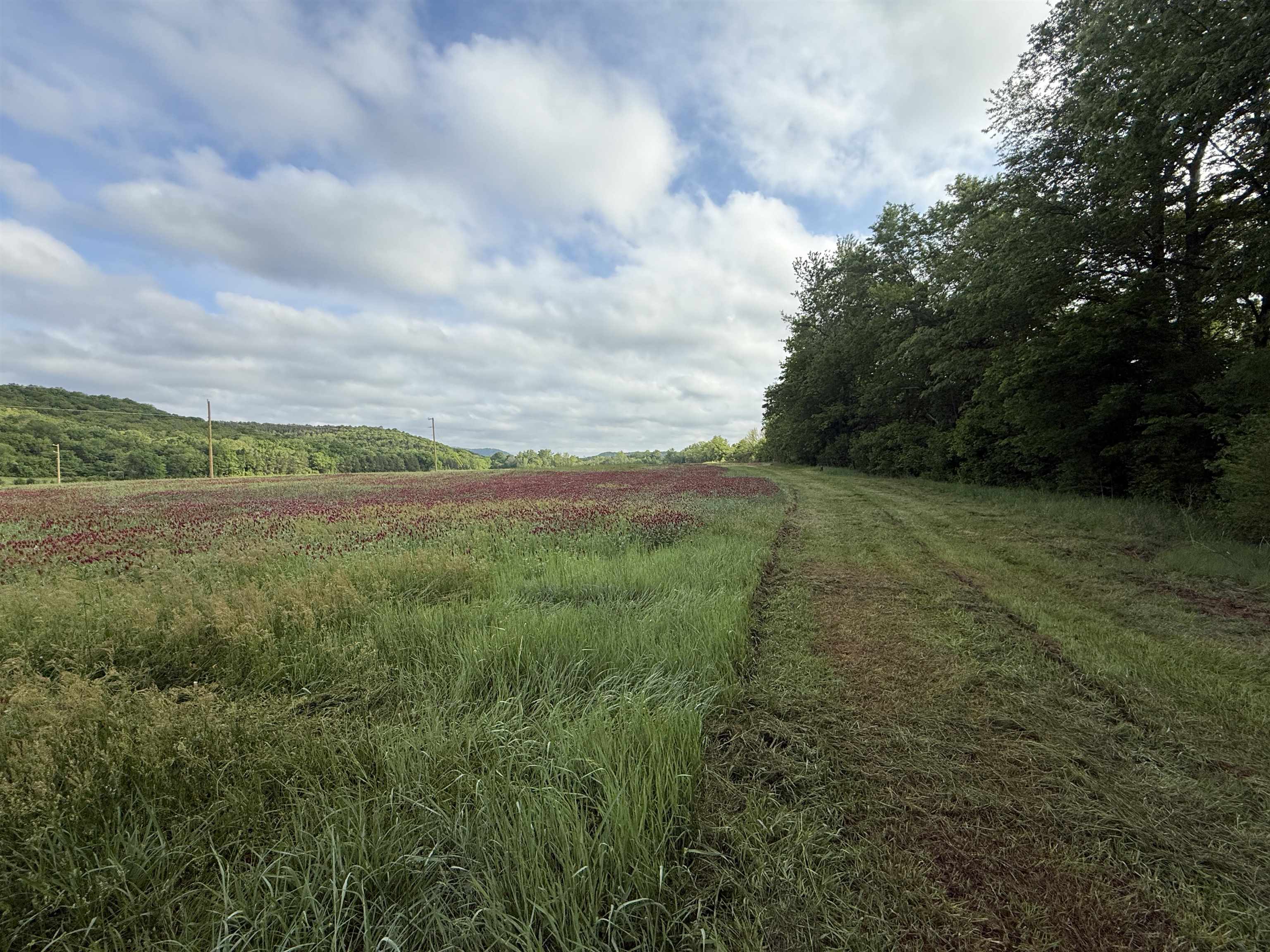 River Oaks - Land