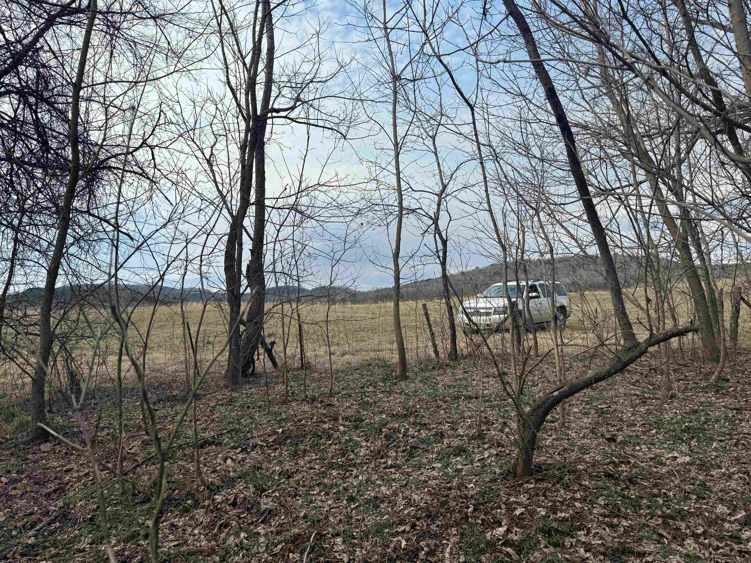 River Oaks - Land