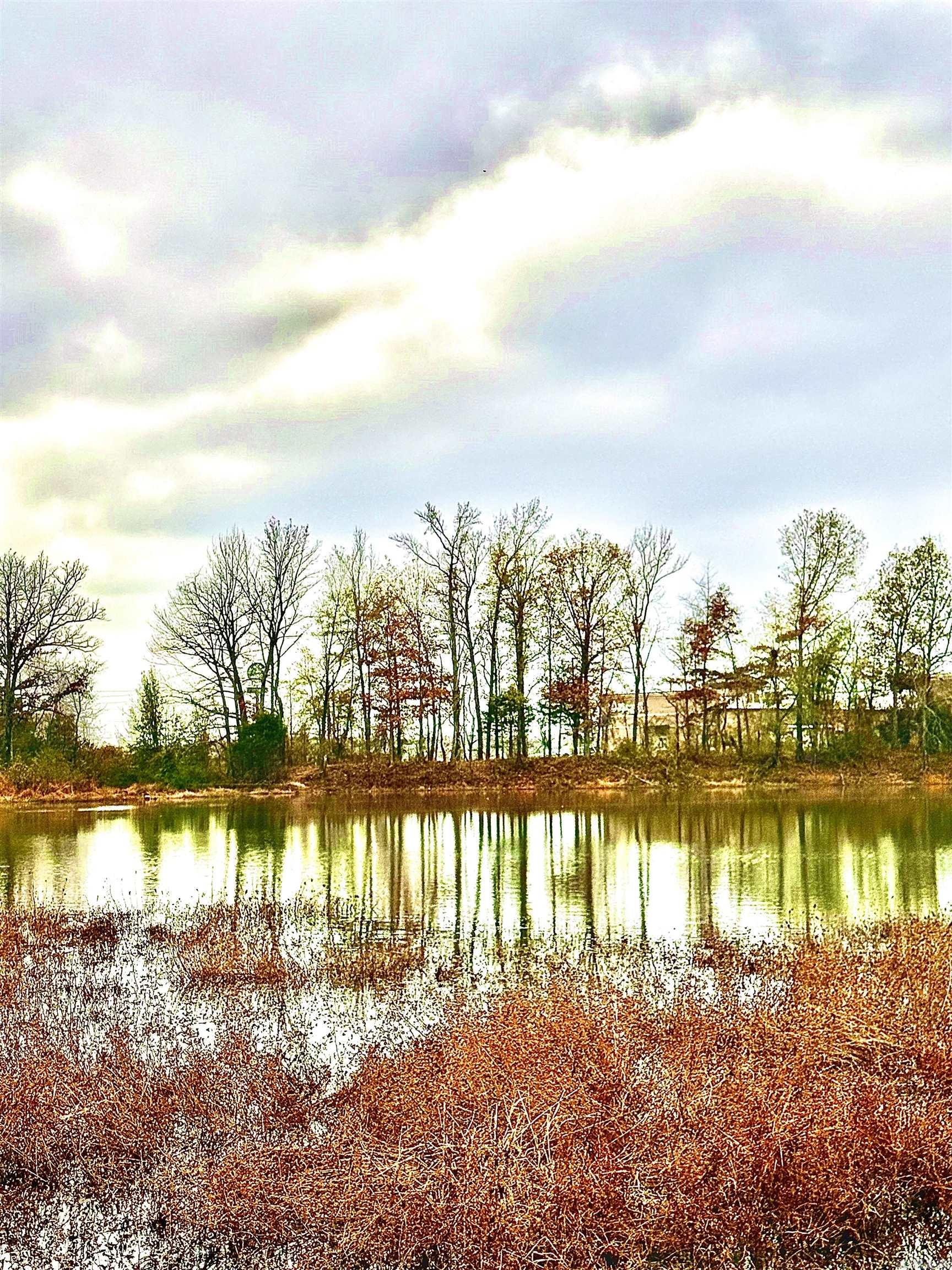 Cabot City Area - Land