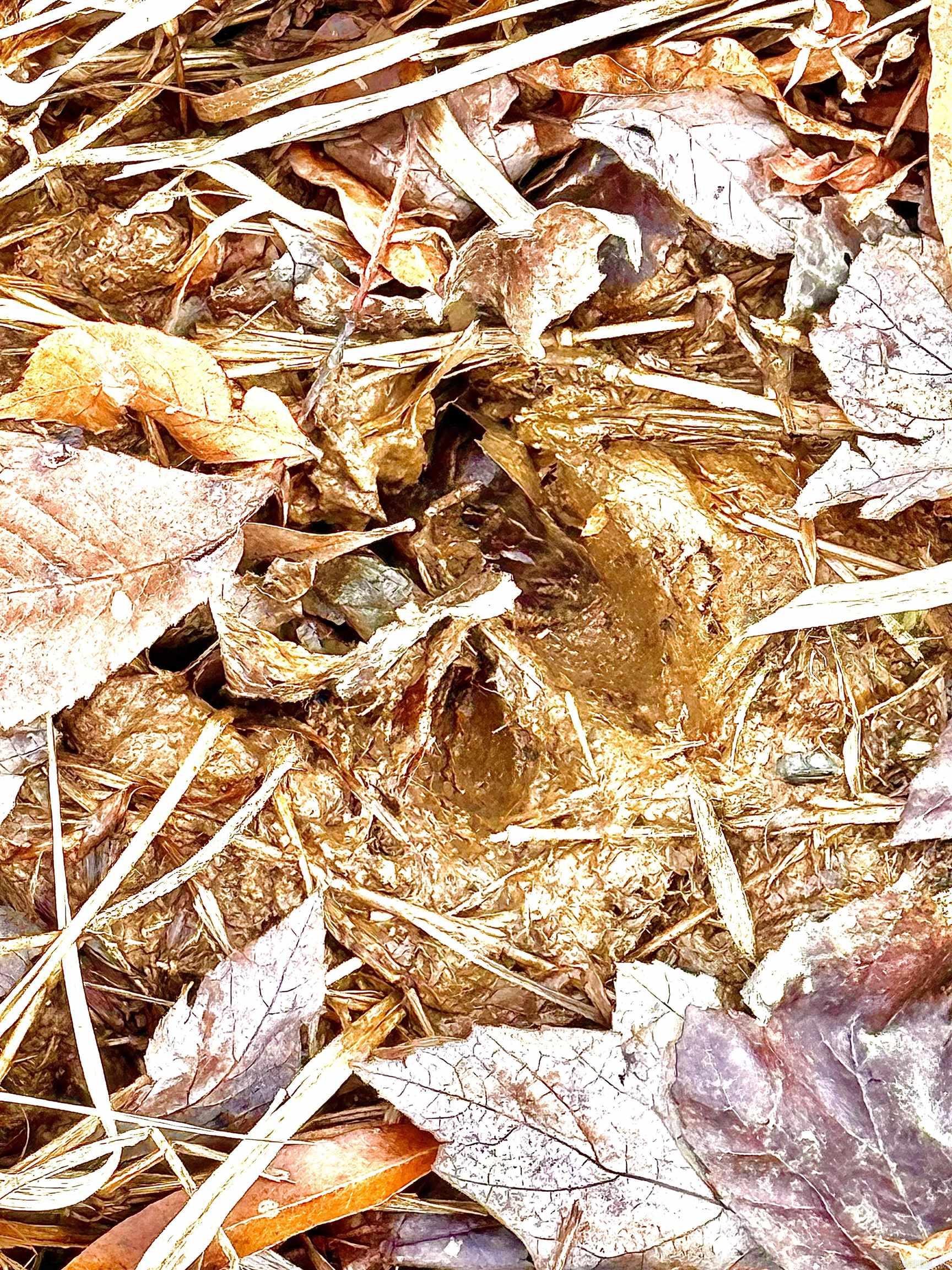 Cabot City Area - Land