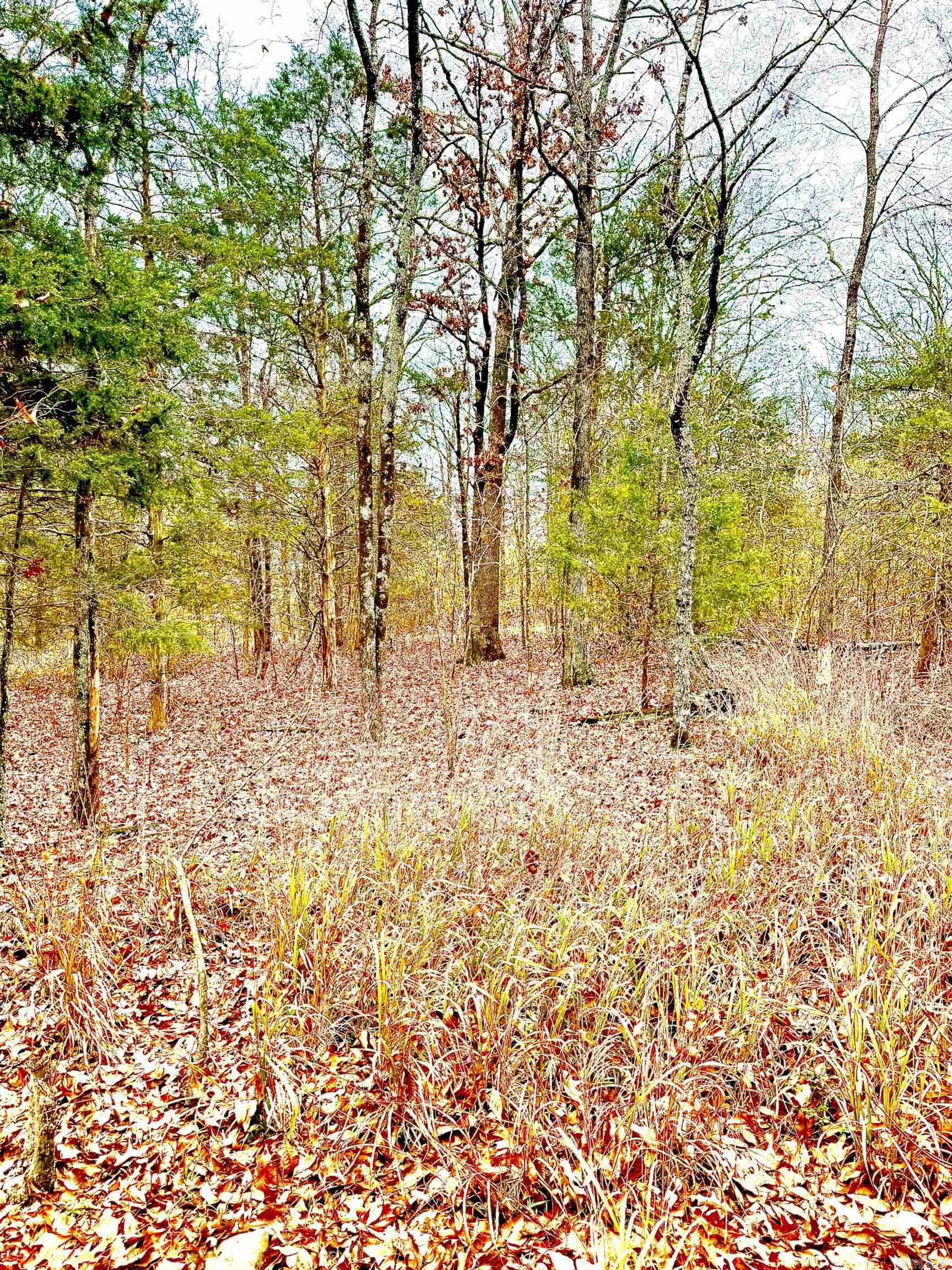 Cabot City Area - Land