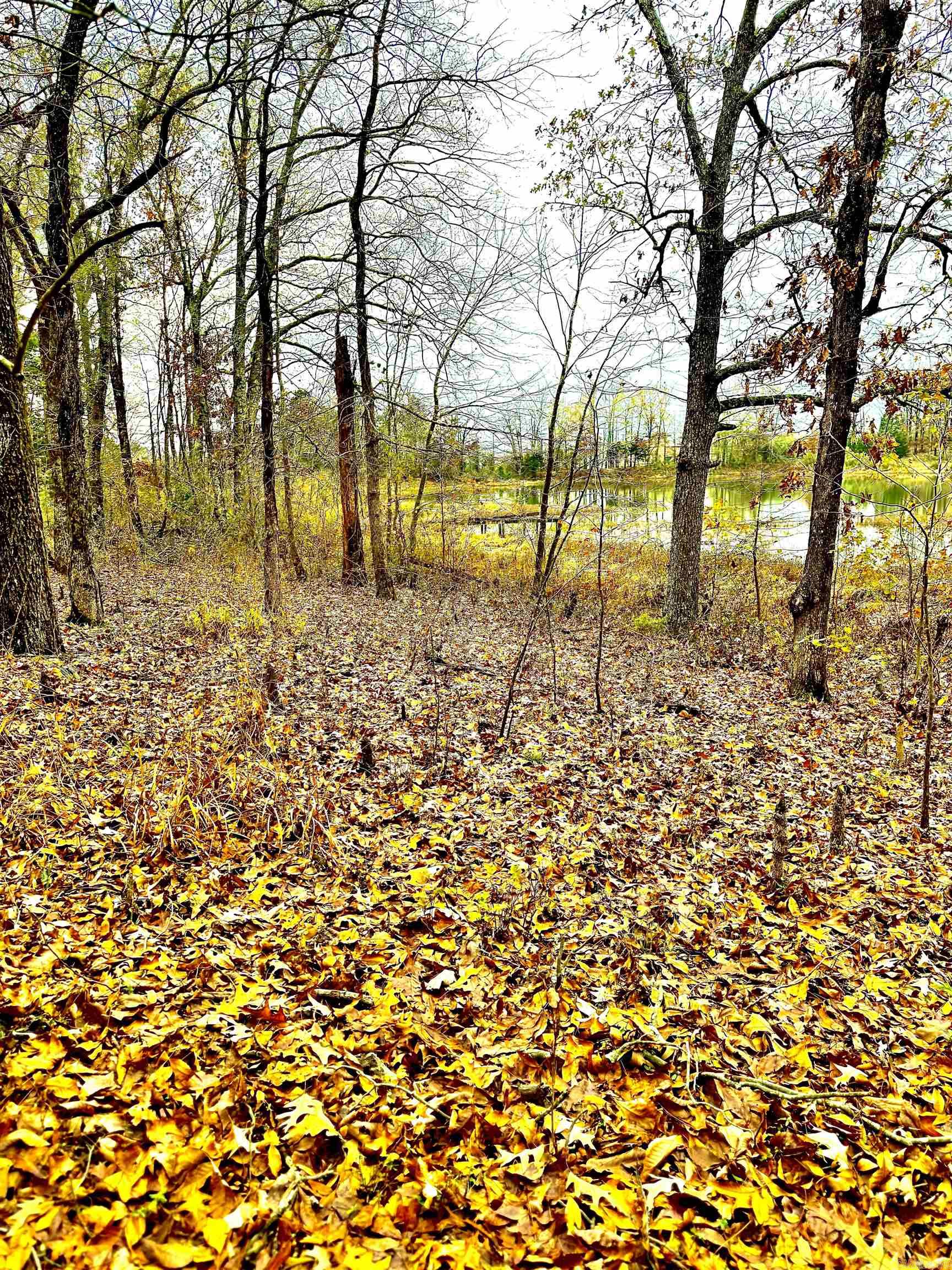 Cabot City Area - Land