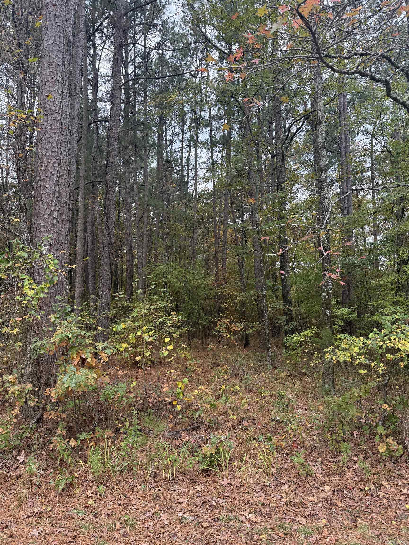 36-7-8 Rural Metes - Land