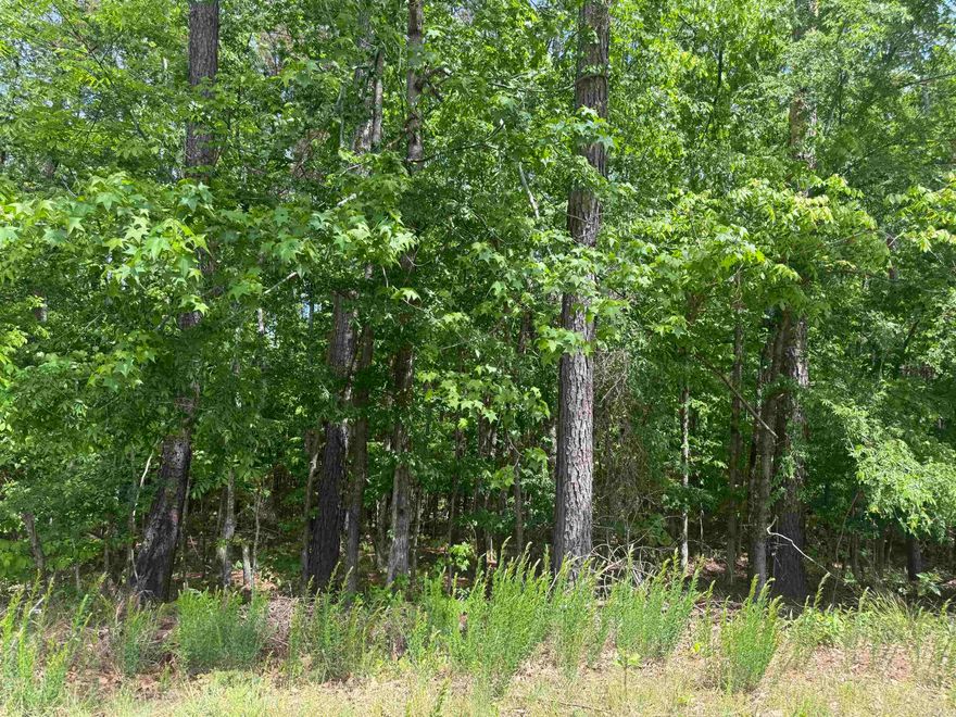 Here's a chance tp be a part of this great neighborhood. Near beautiful lakes and amazing homes.