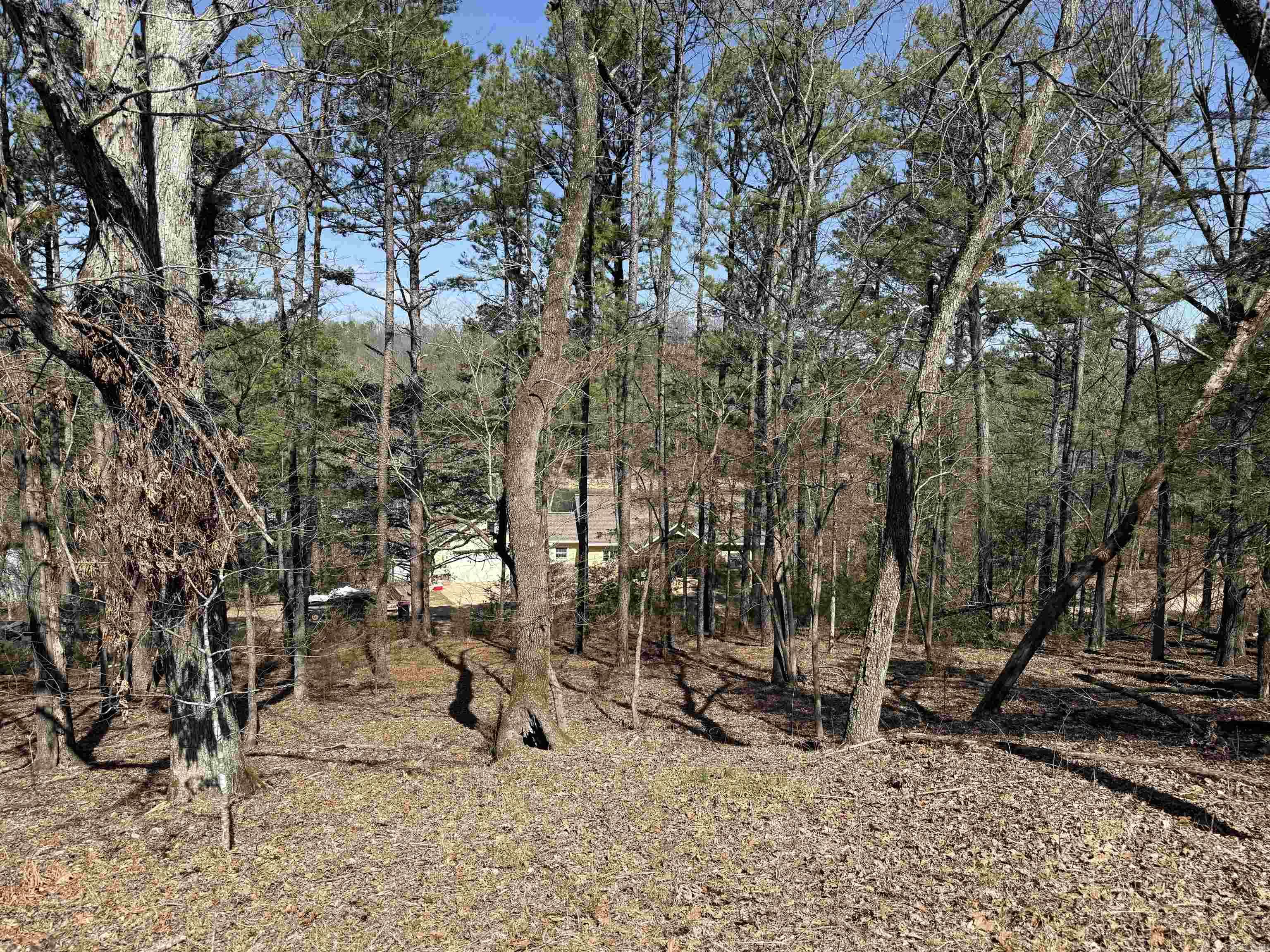 Beautiful Half Acre, Tree filled lot near Beaver Lake! Easy walk to lake access within 300 feet of property. Electric and Public Water at site! No mobile homes.