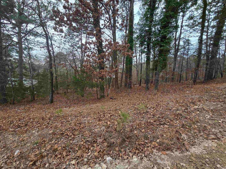 Almost half an acre, undeveloped, mature trees, just 5 minutes from Lake Hamilton in Mountain Pine School District. Mobiles not allowed. Utilities nearby. Agents see remarks