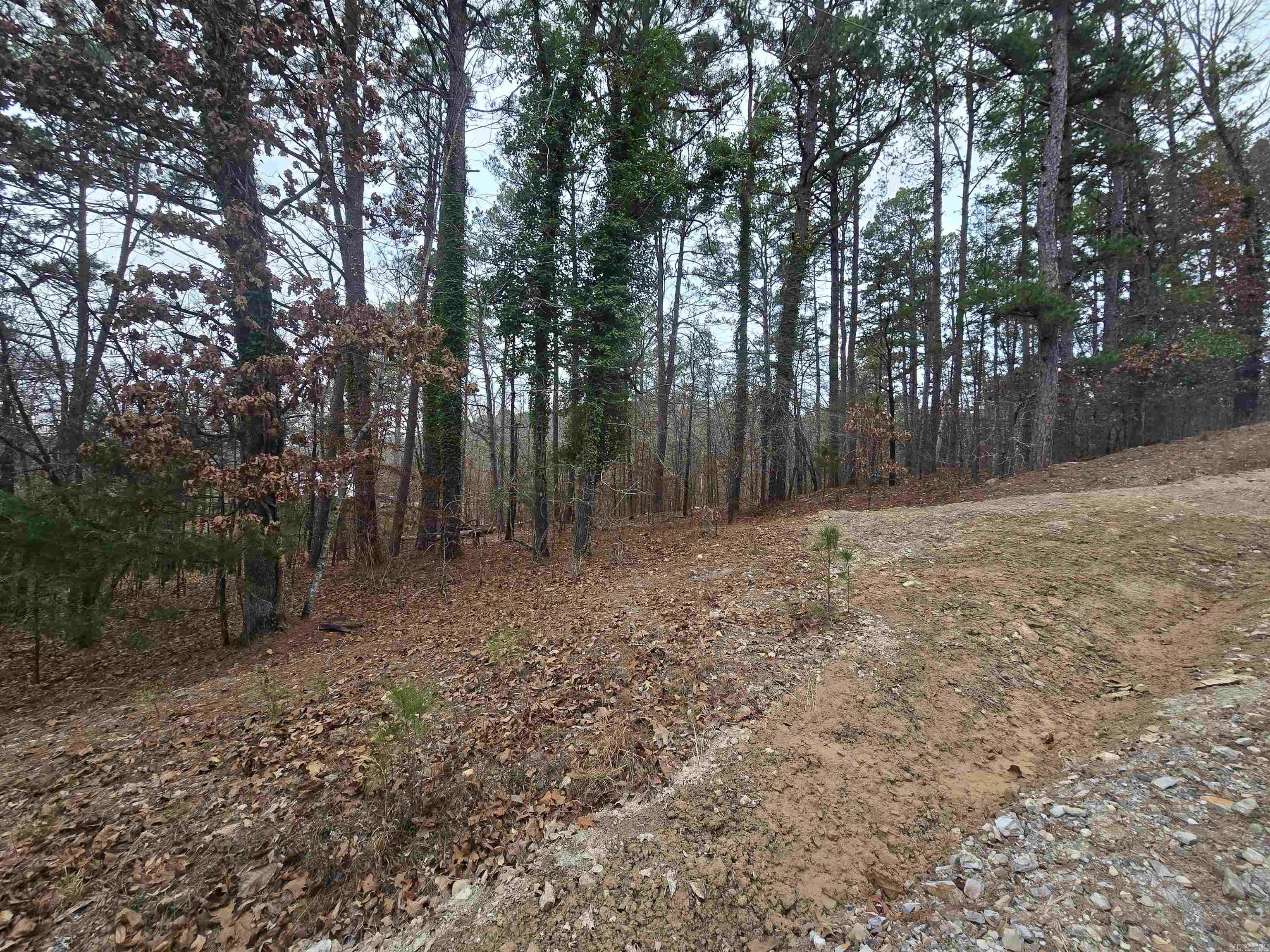 Treasure Isle #9 - Land