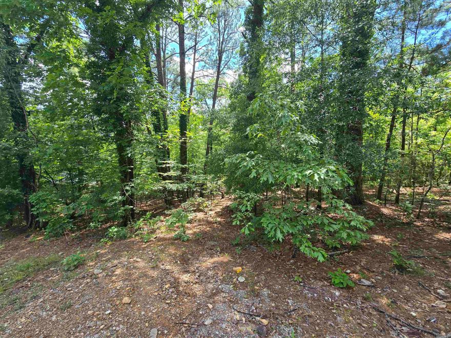 Owner Financing Available! Guaranteed approval!   Almost half an acre with Pines and Hardwoods in a quiet neighborhood in Mountain Pine School District. Undeveloped with utilities near by. Just 5 minutes from Lake Hamilton- Mobile Homes not allowed. A beautiful place to build your home! USDA Rural Development area and not in a flood zone.   Agents see remarks